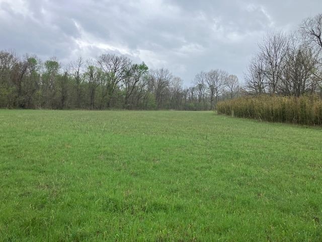 000 Booth Creek Road  Williford, AR