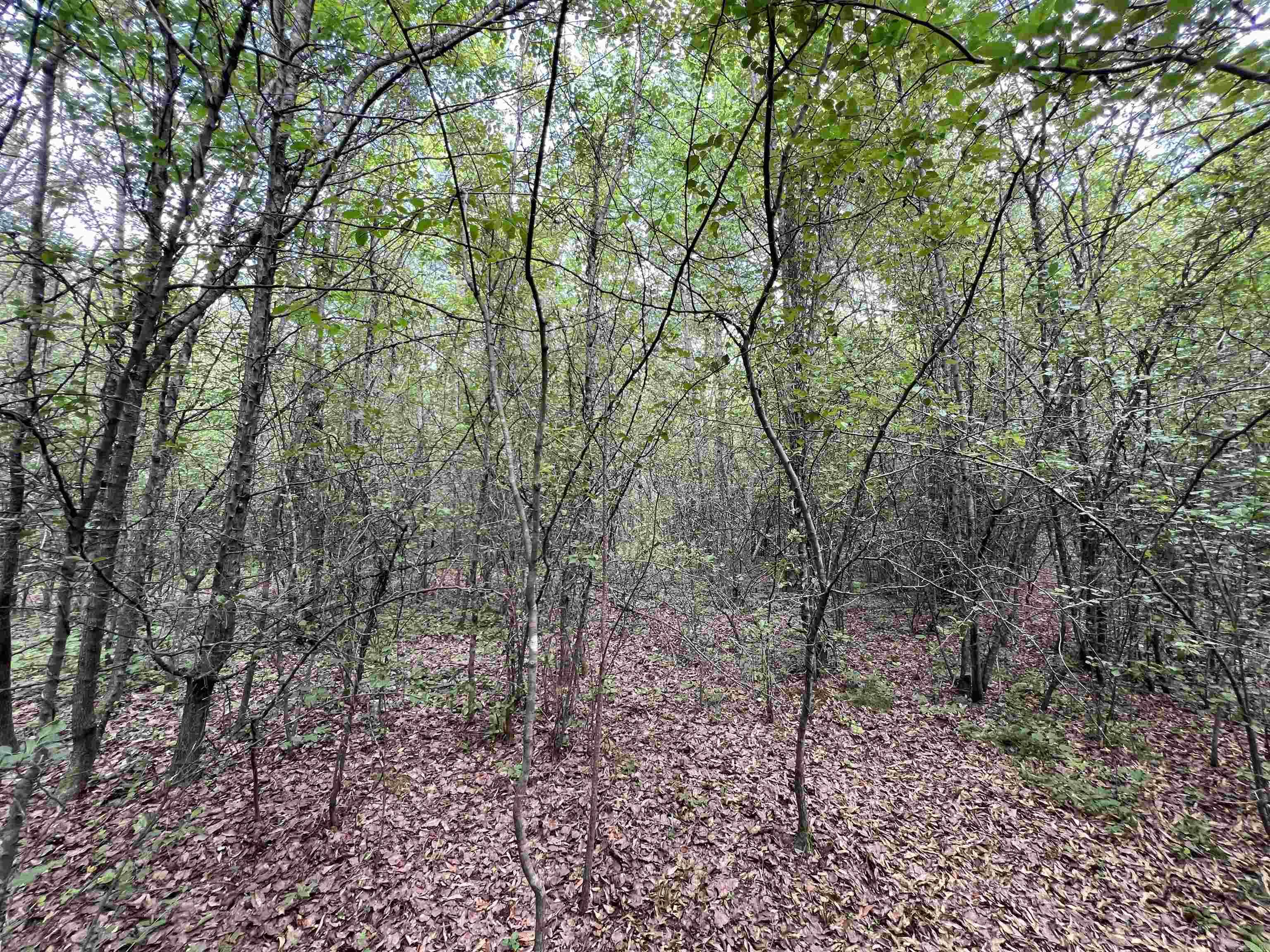 269 Walker Rd  Higginson, AR