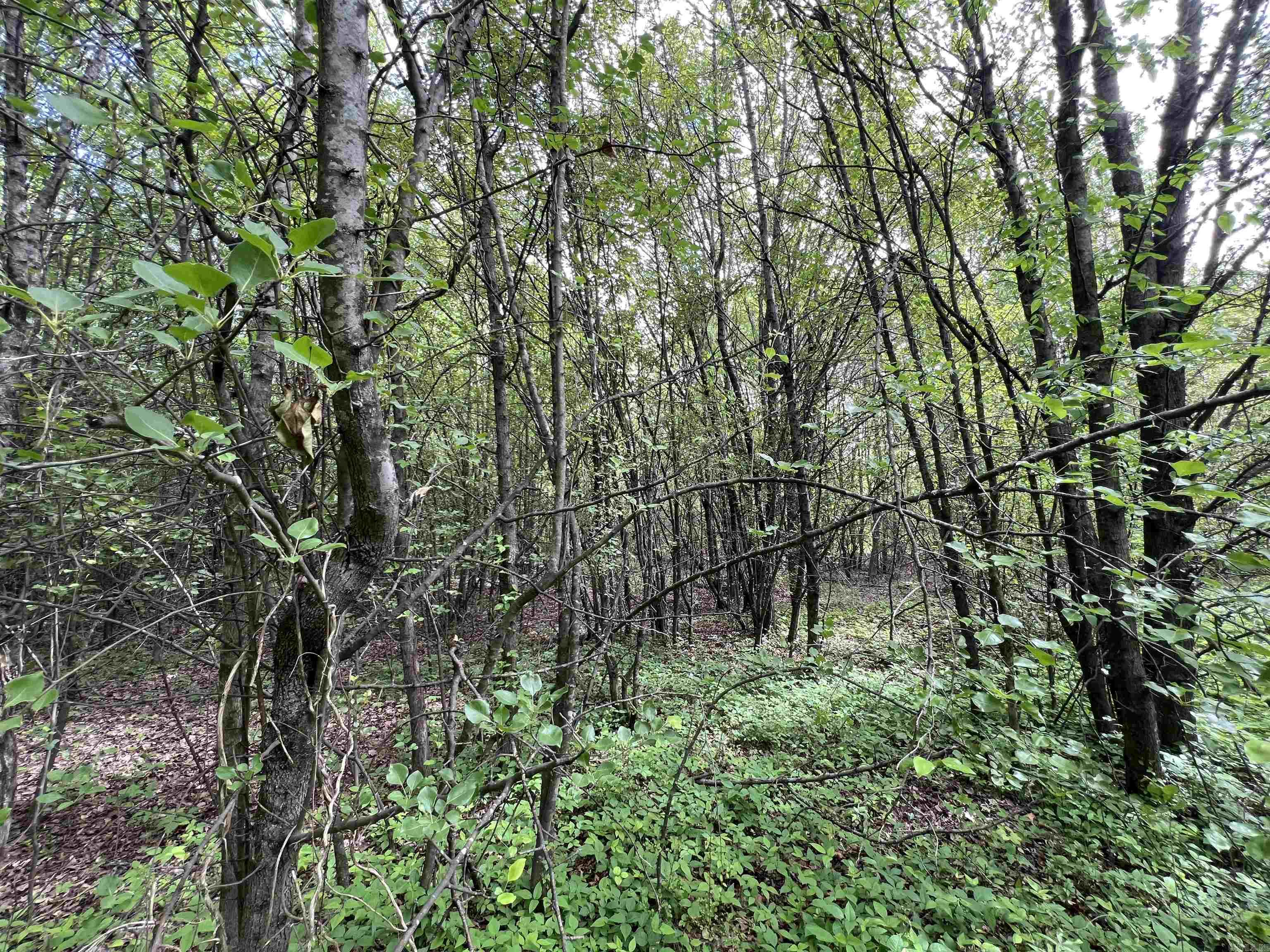 269 Walker Rd  Higginson, AR