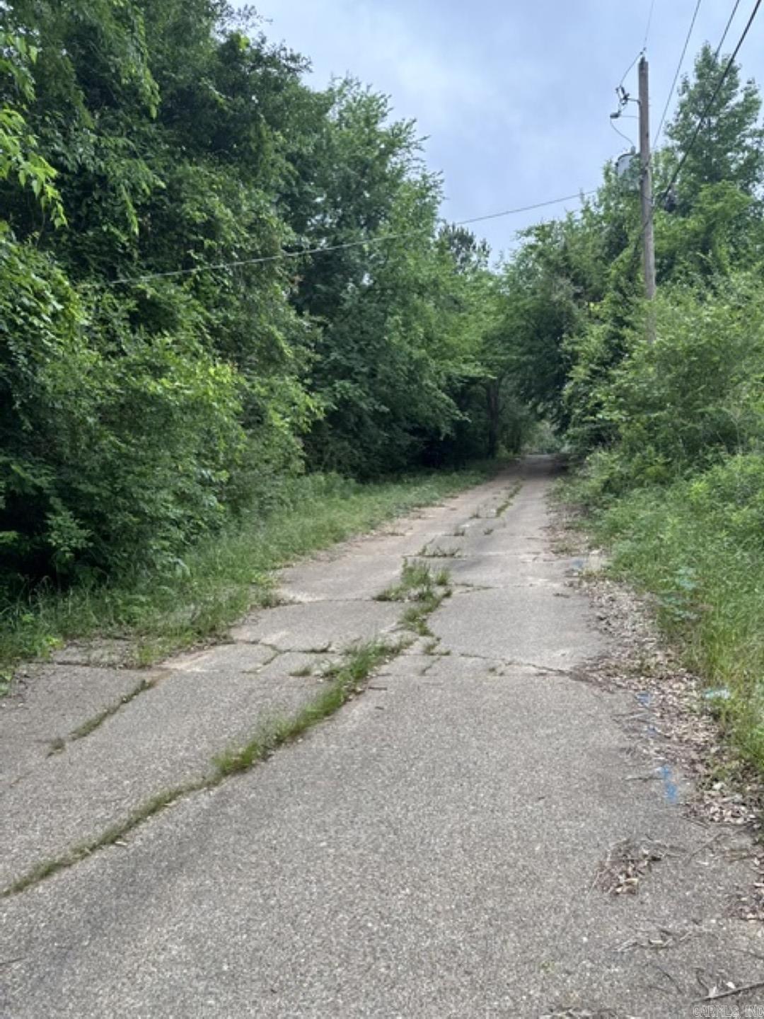 7 lots on Ouachita  Camden, AR