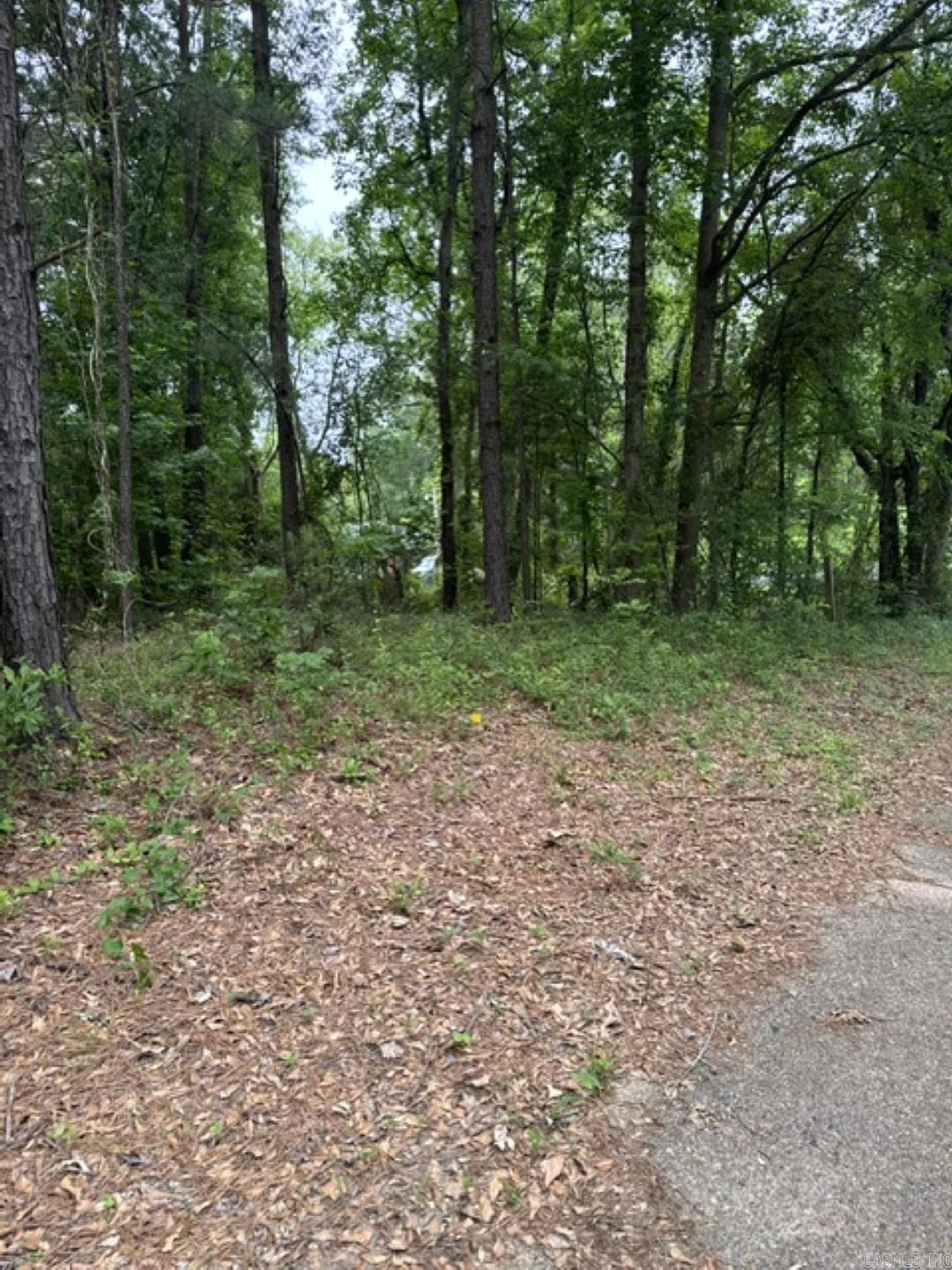 7 lots on Ouachita  Camden, AR