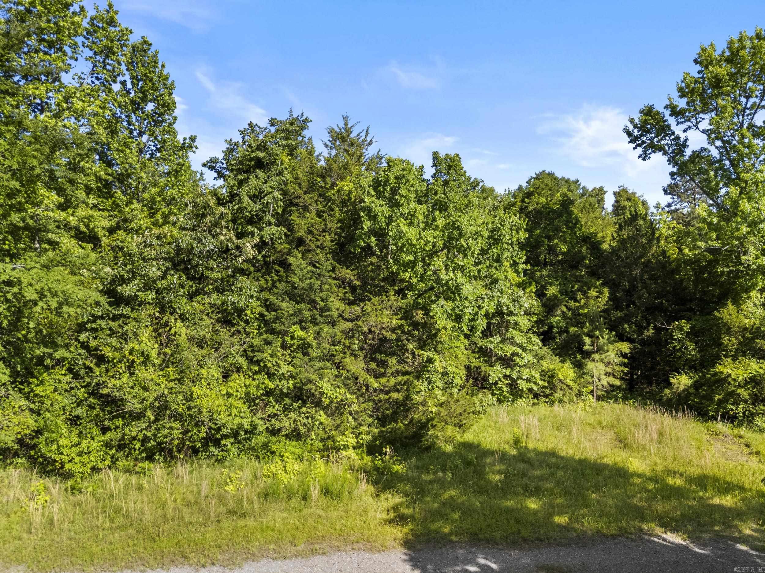 256 Rambo Loop  Searcy, AR