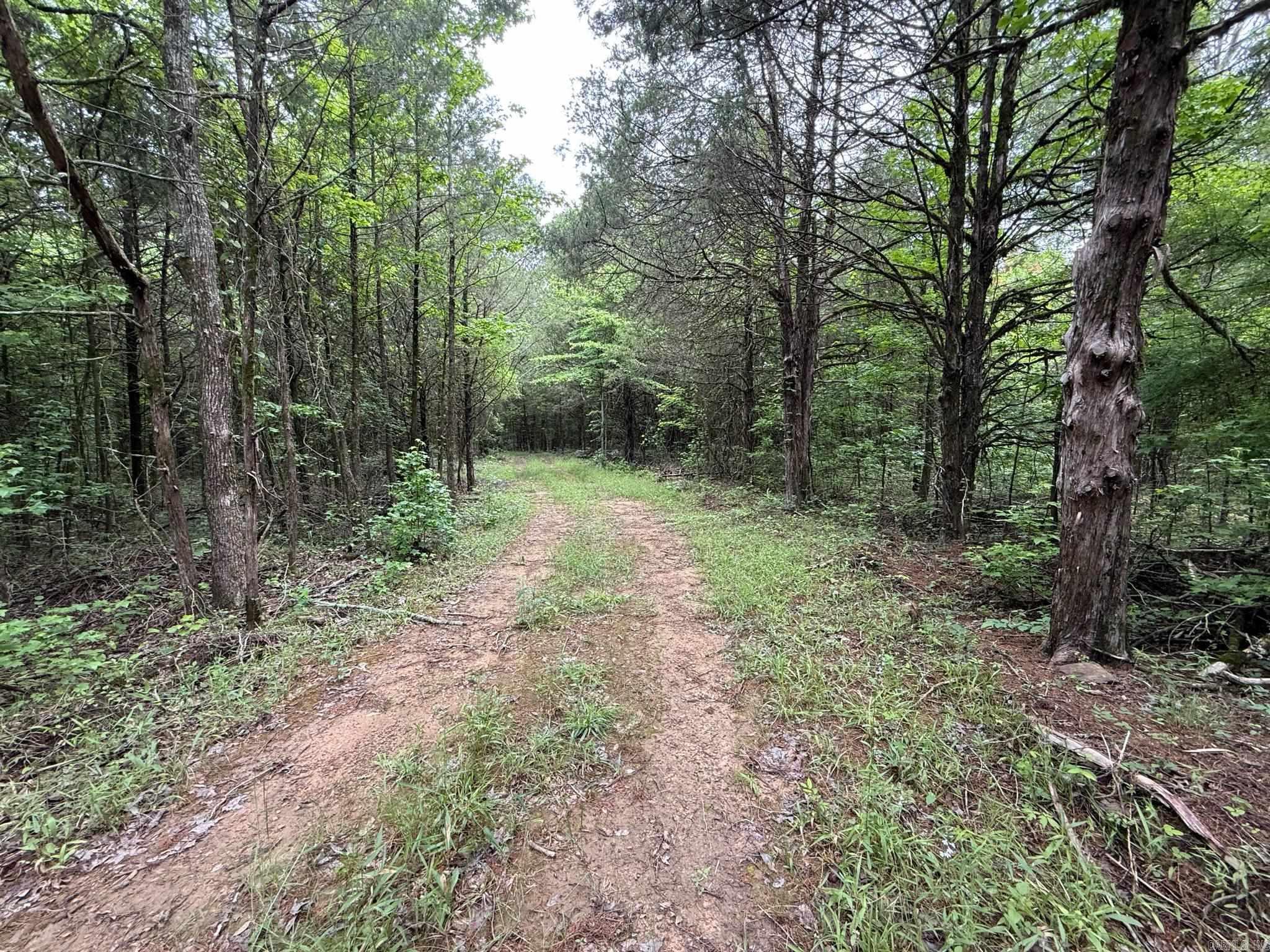 256 Rambo Loop  Searcy, AR