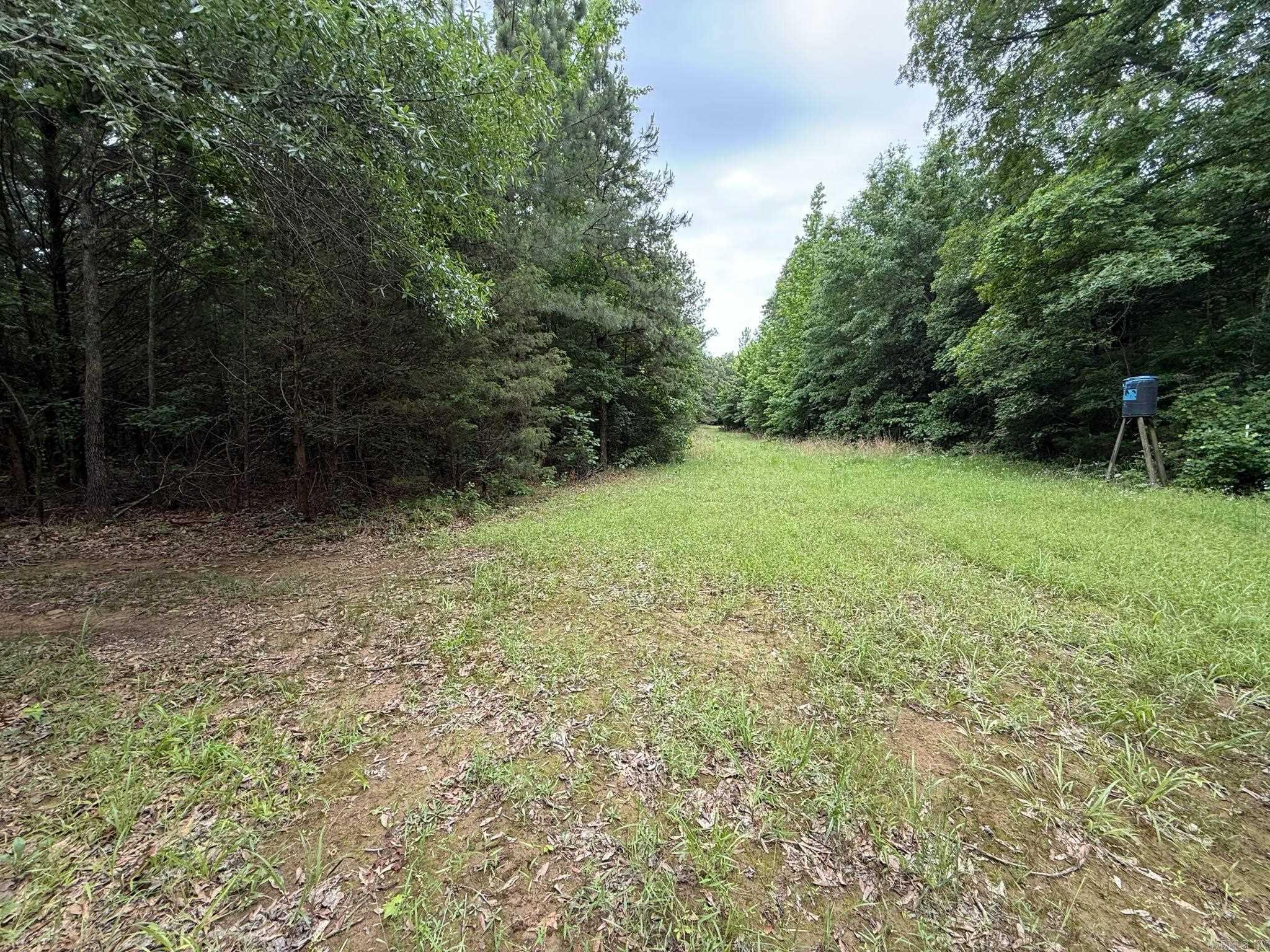 256 Rambo Loop  Searcy, AR
