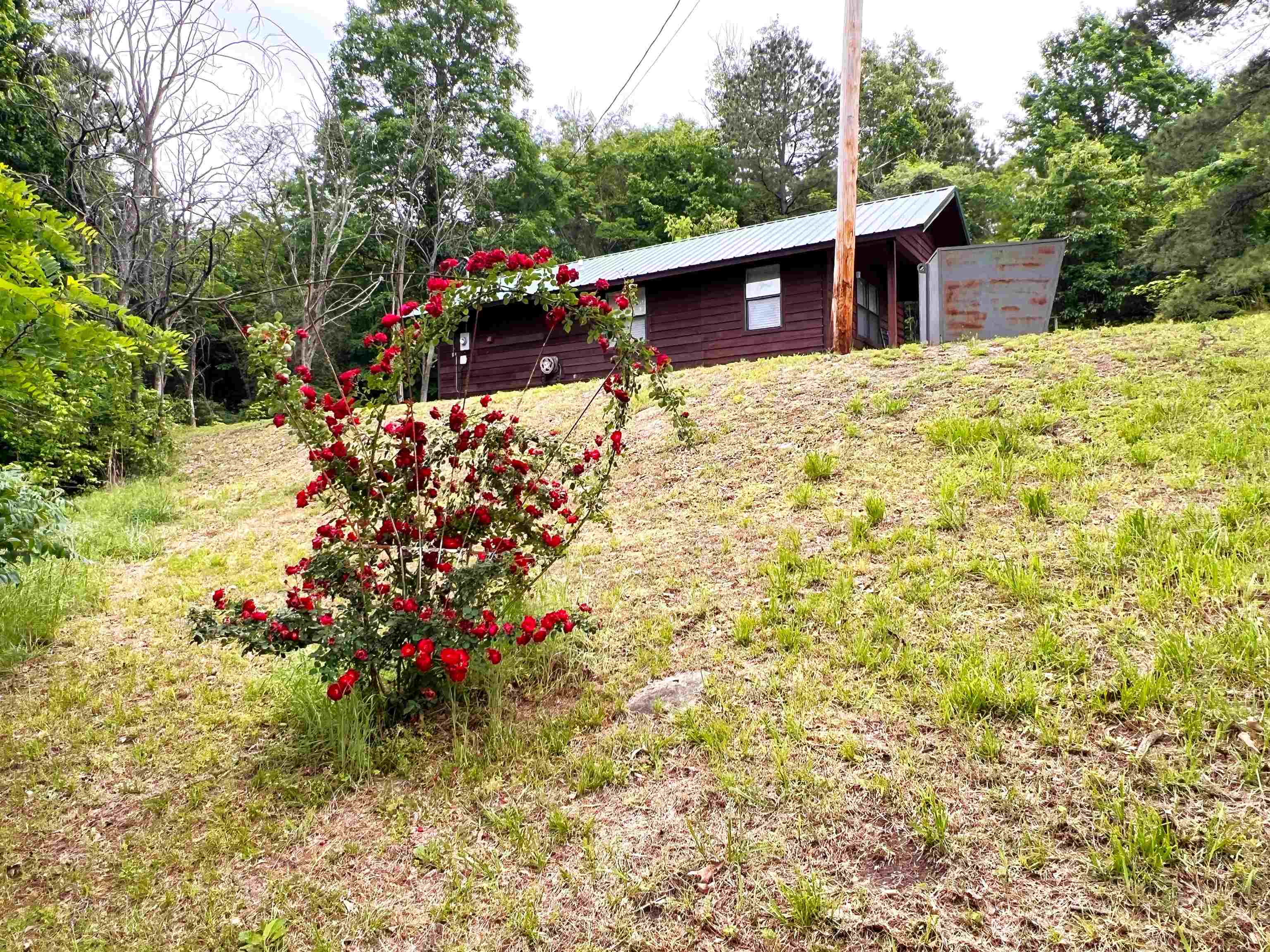 75 Ruddells  Mountain View, AR