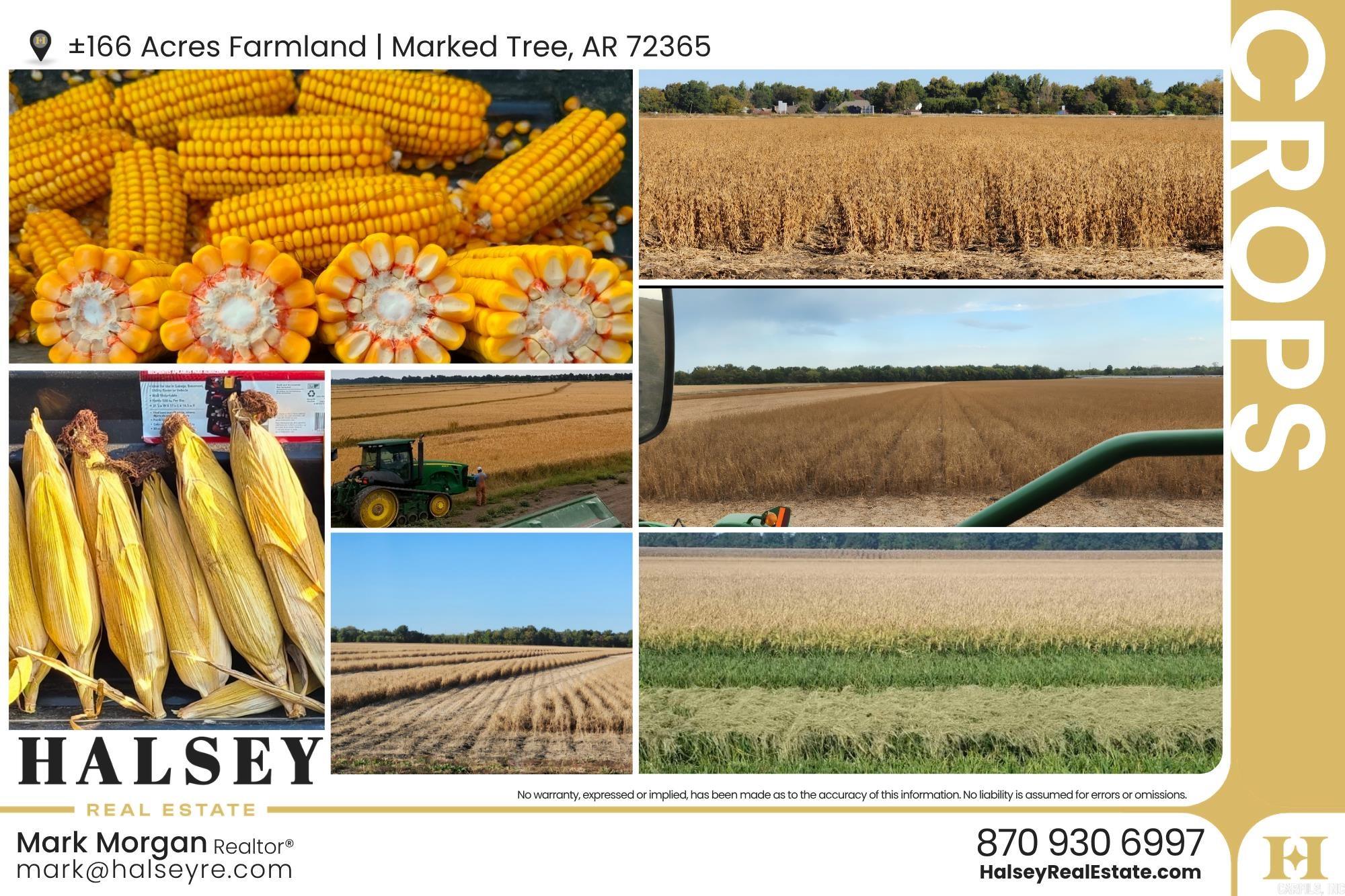 166.41 Acres  Marked Tree, AR