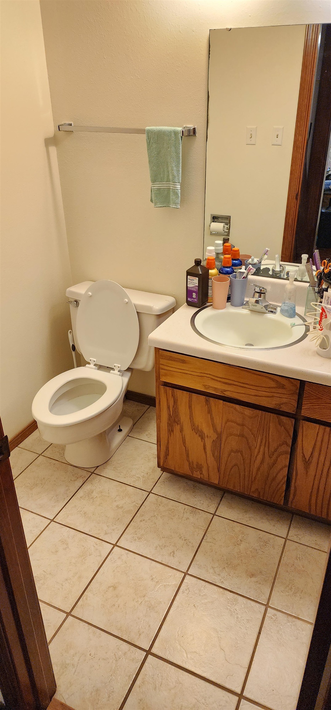 30 Wahoo Drive Cherokee Village, AR 72529