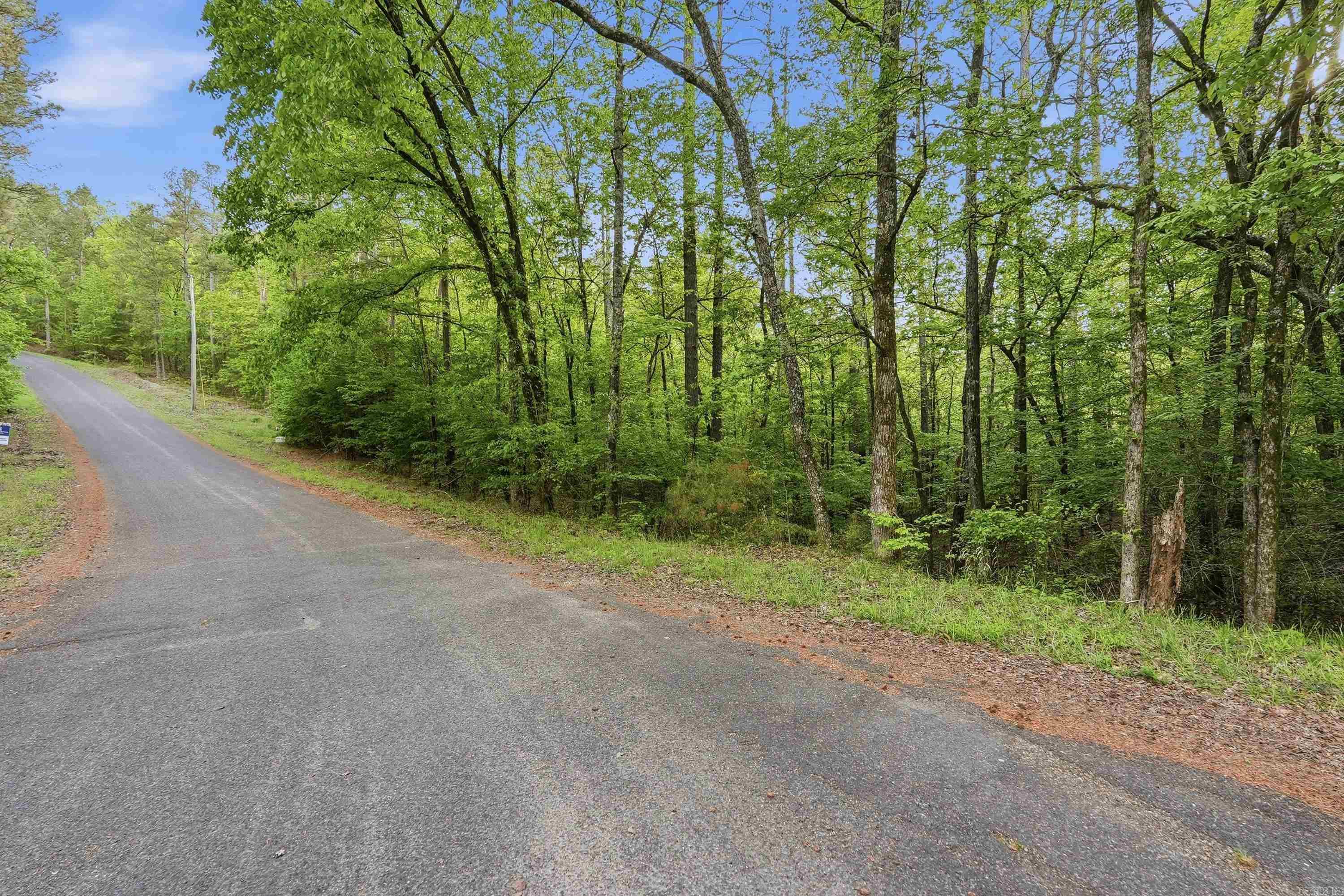 Lot 16 Tall Hickory Road  Hot Springs, AR