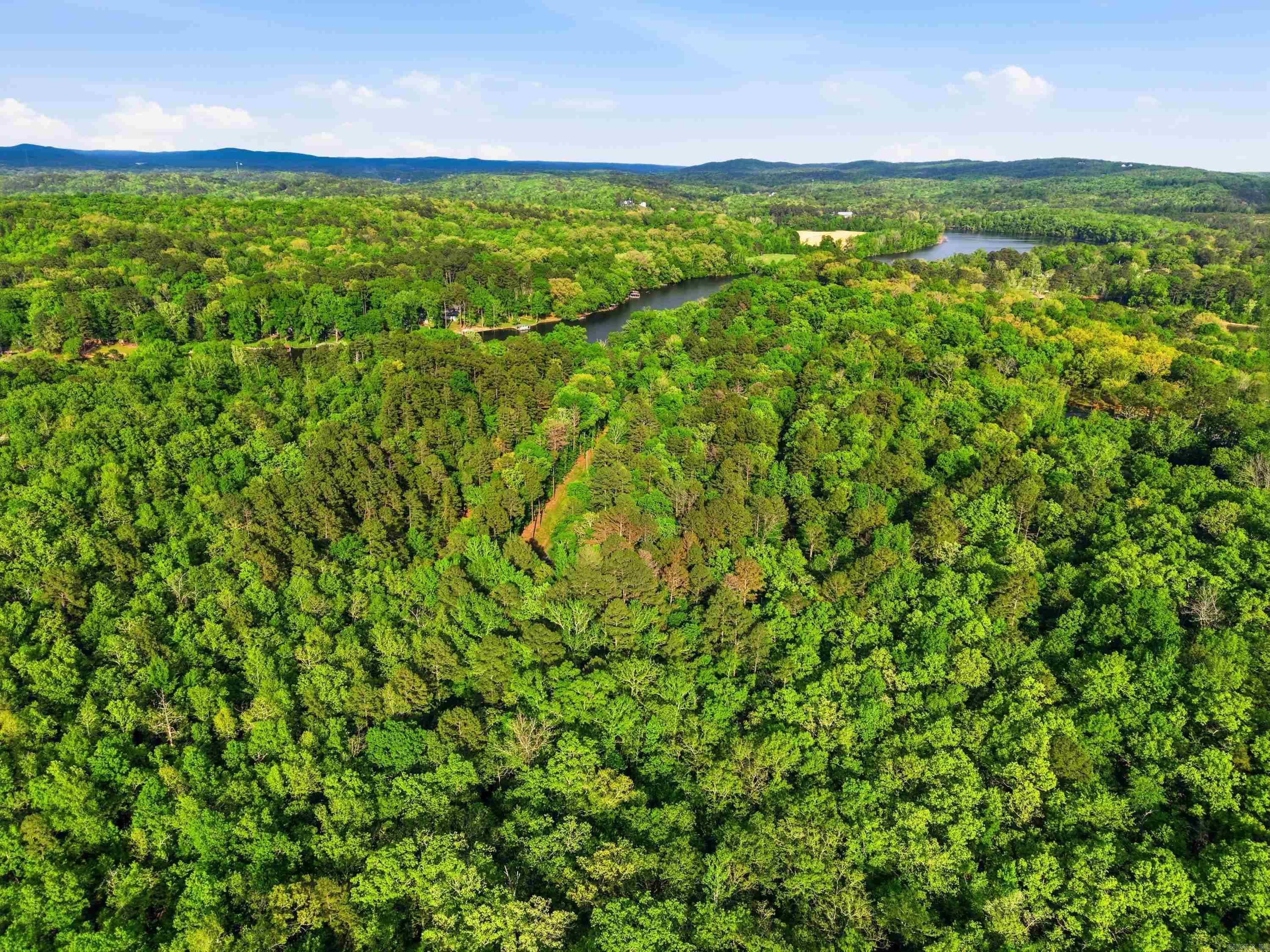 Lot 16 Tall Hickory Road  Hot Springs, AR