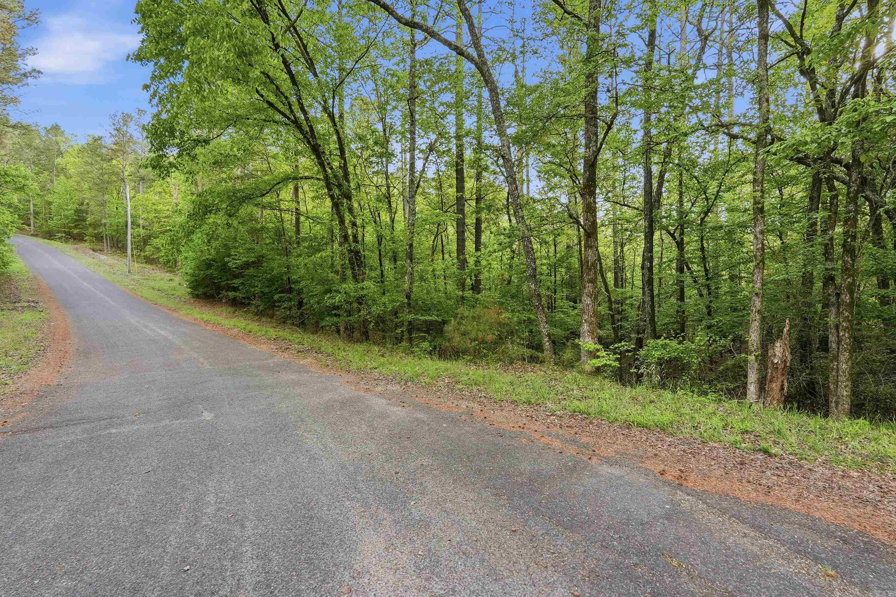 Lot 16 Tall Hickory Road  Hot Springs, AR