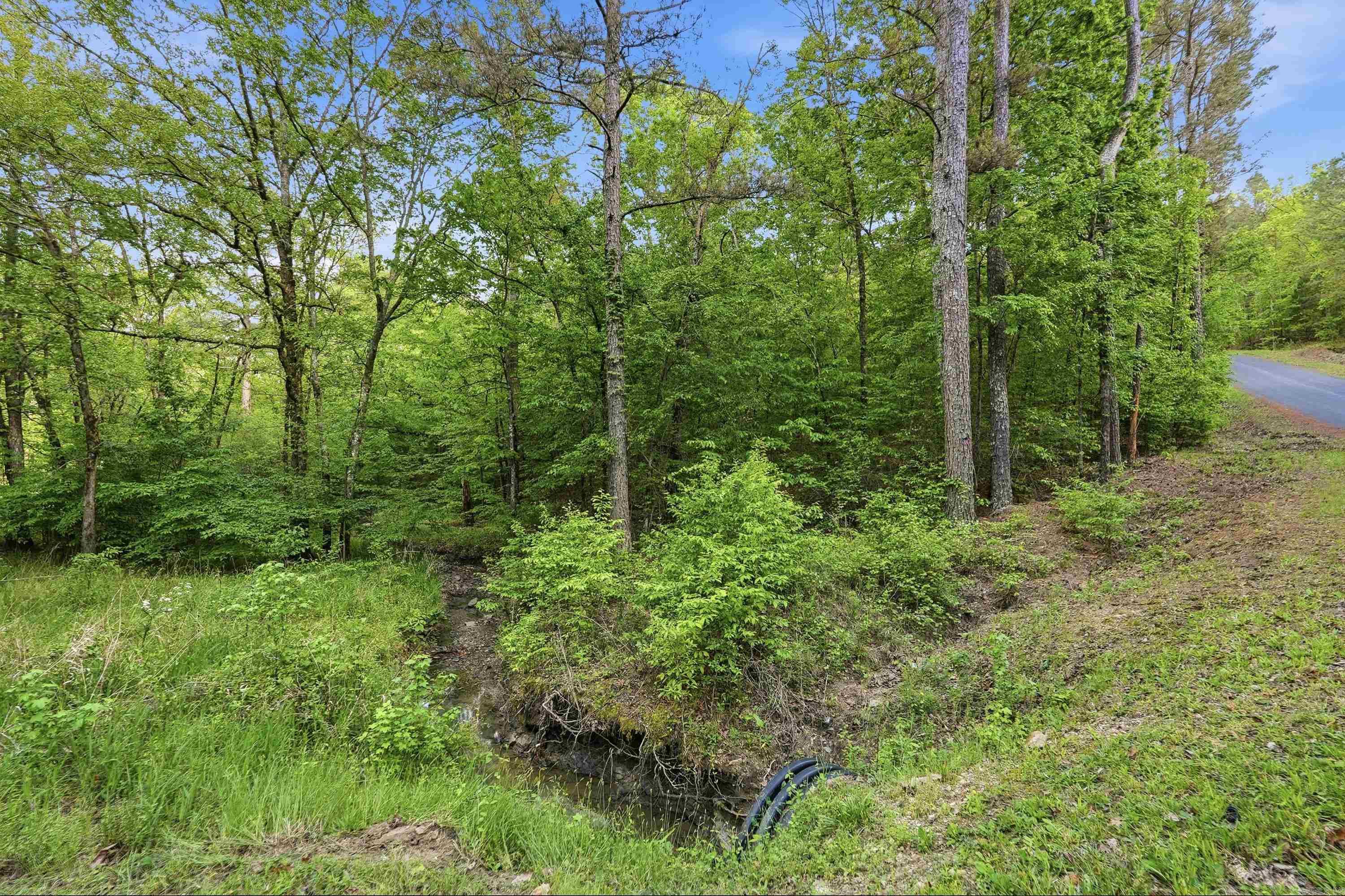 Lot 16 Tall Hickory Road  Hot Springs, AR