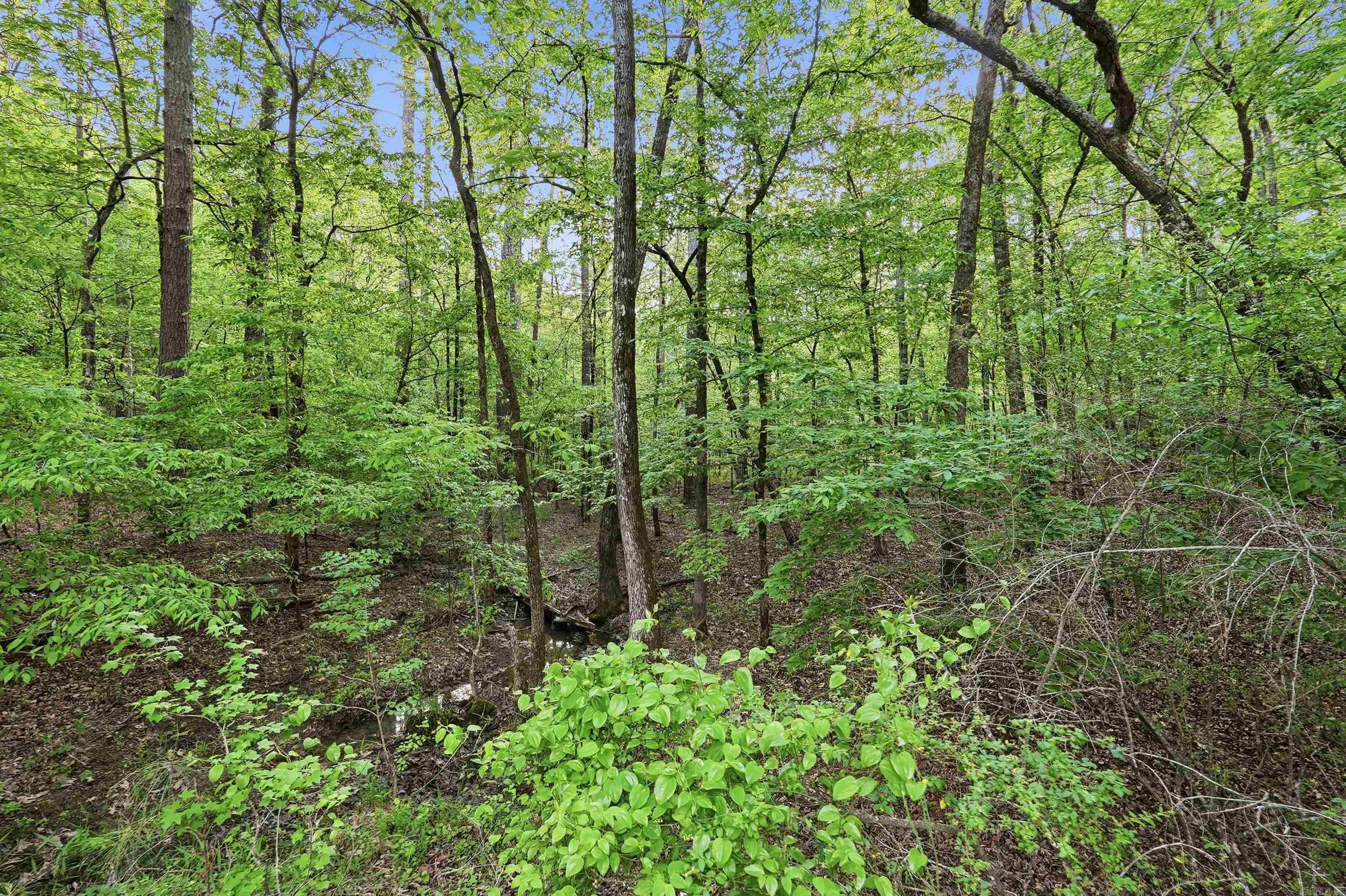 Lot 16 Tall Hickory Road  Hot Springs, AR
