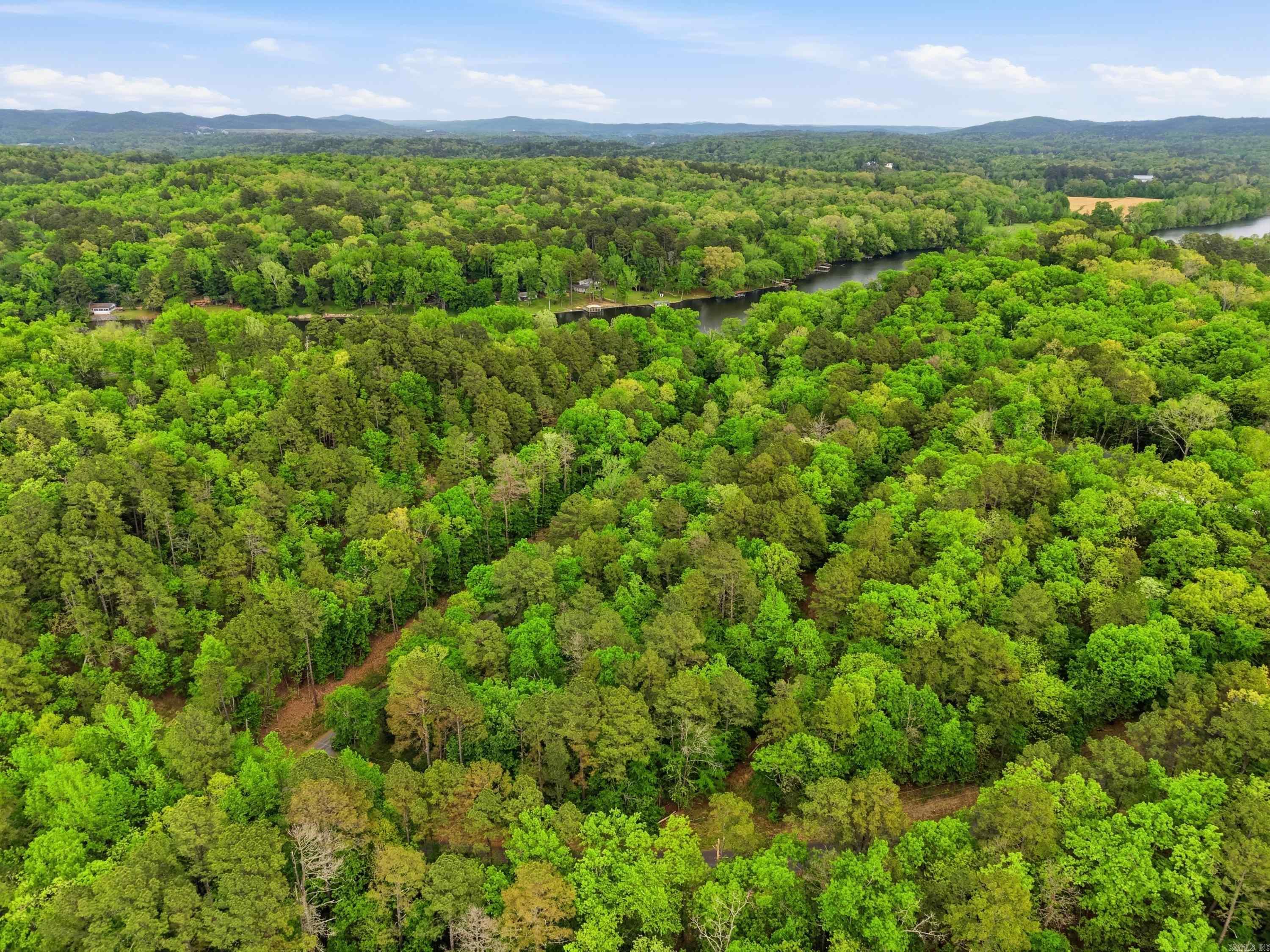 Lot 16 Tall Hickory Road  Hot Springs, AR