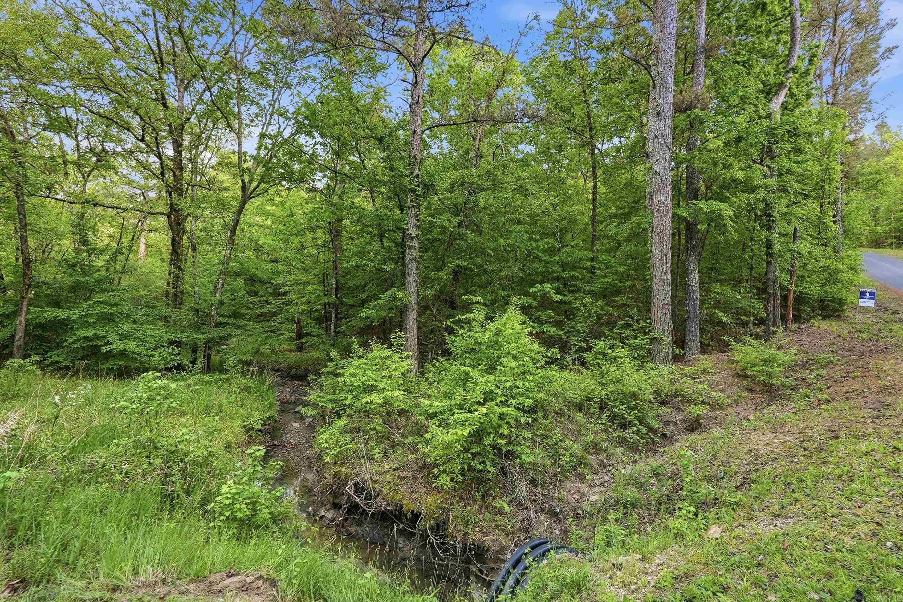 Lot 17 & 18 Tall Hickory Road  Hot Springs, AR