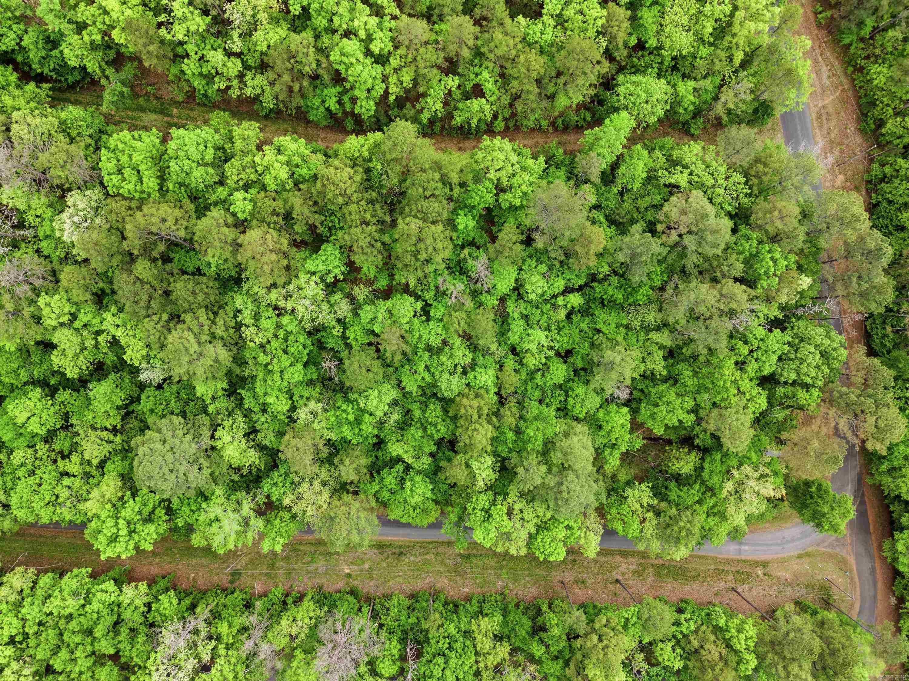 Lot 17 & 18 Tall Hickory Road  Hot Springs, AR