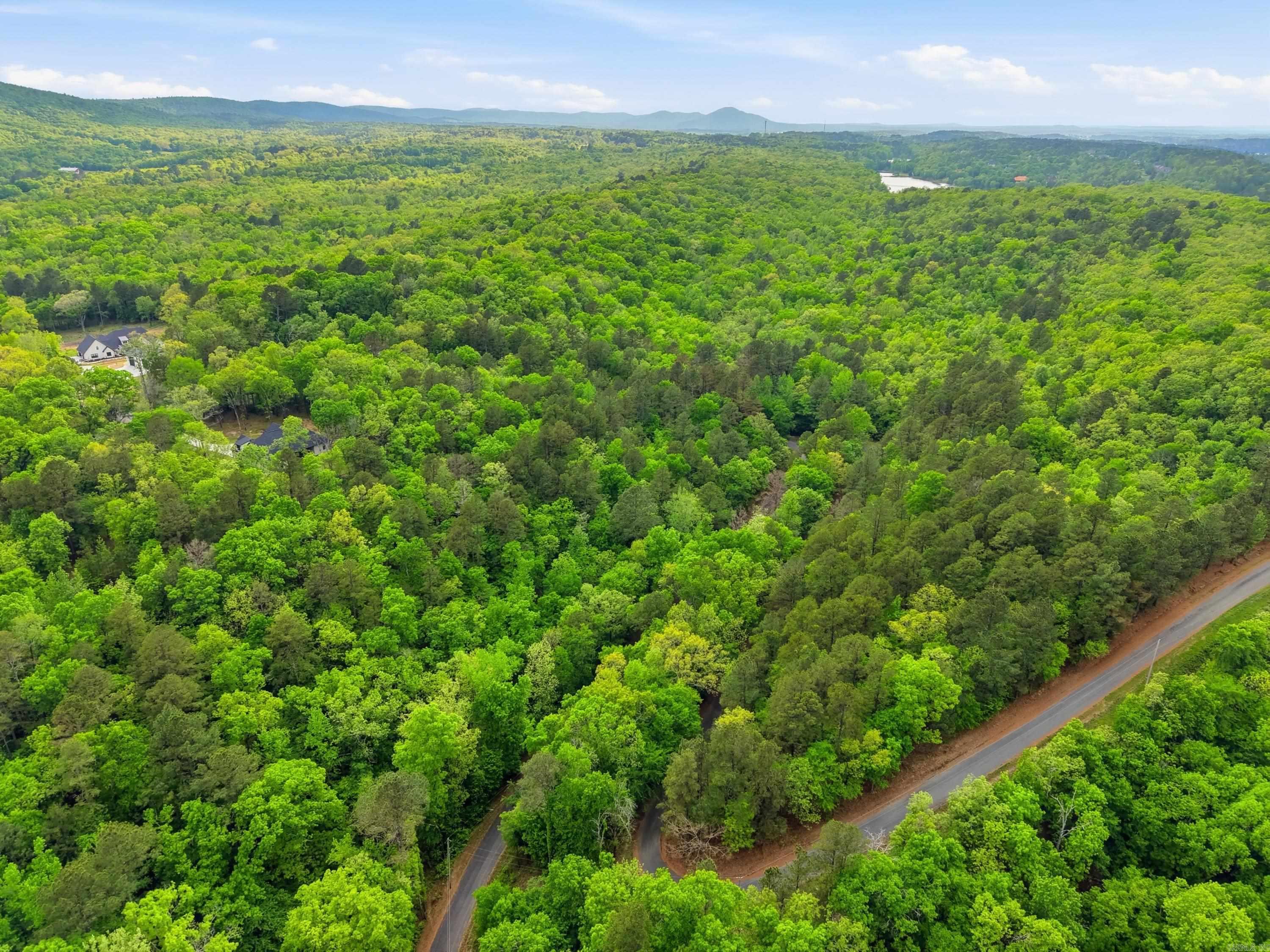 Lot 17 & 18 Tall Hickory Road  Hot Springs, AR