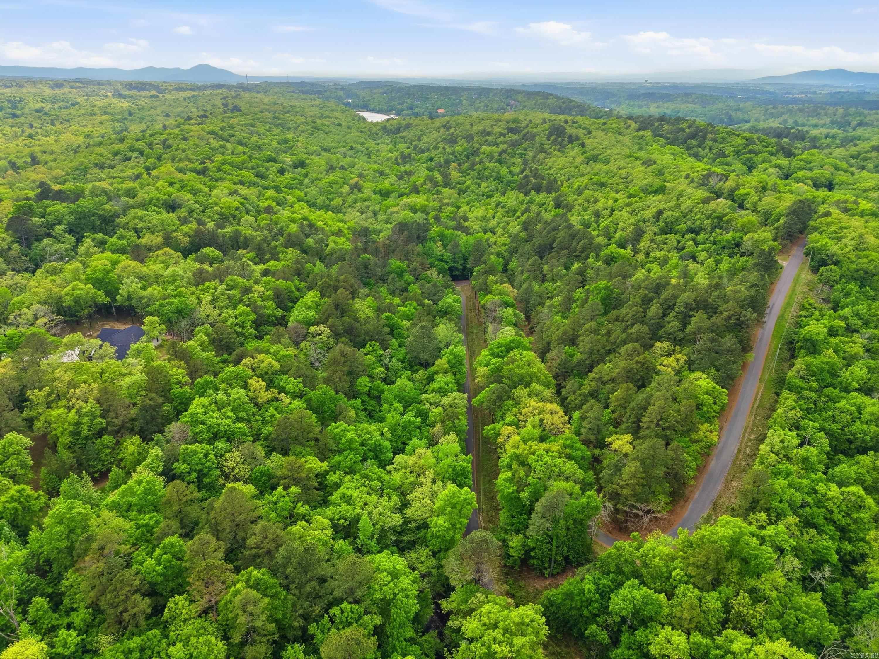 Lot 17 & 18 Tall Hickory Road  Hot Springs, AR