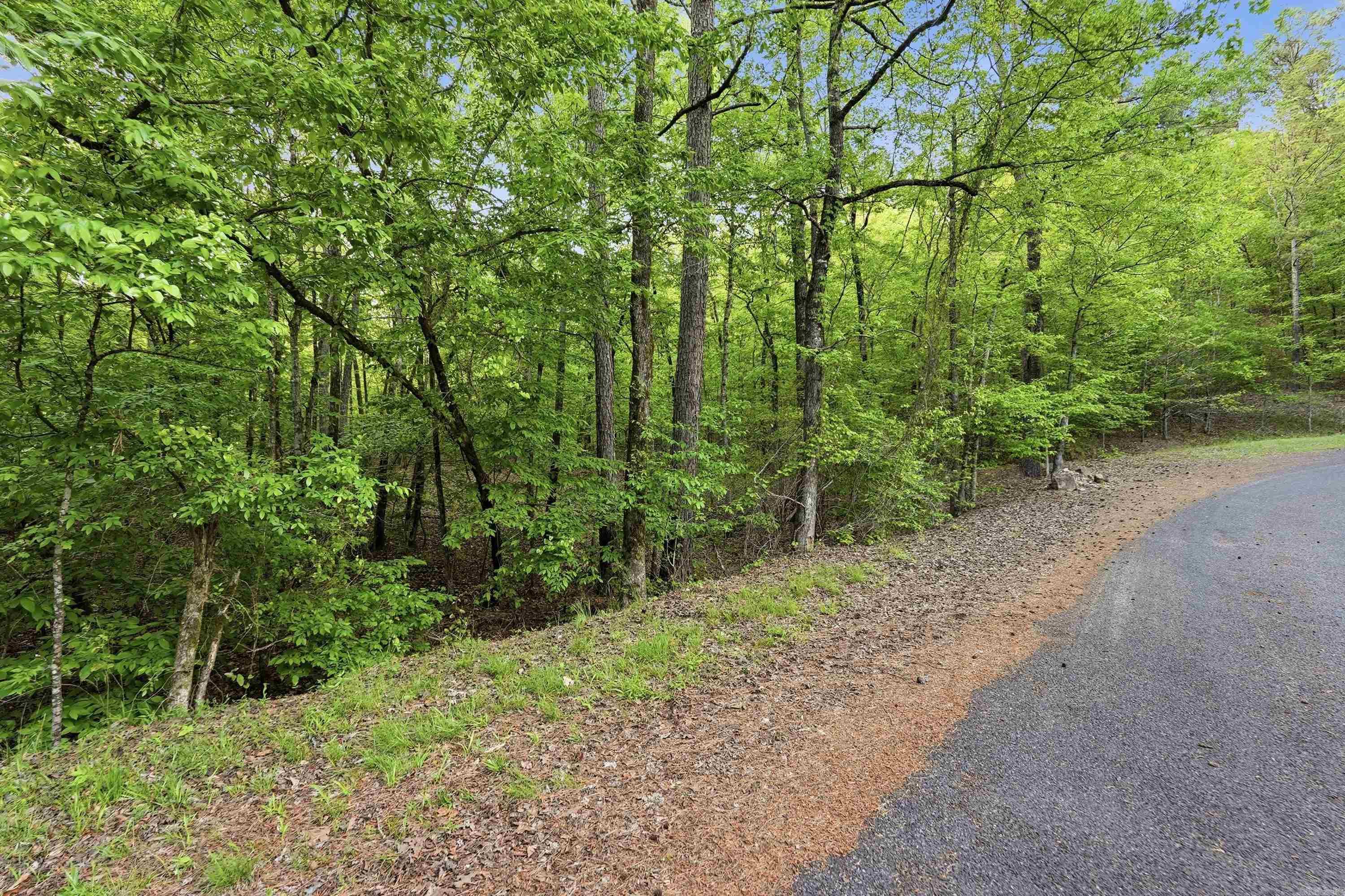 Lot 17 & 18 Tall Hickory Road  Hot Springs, AR