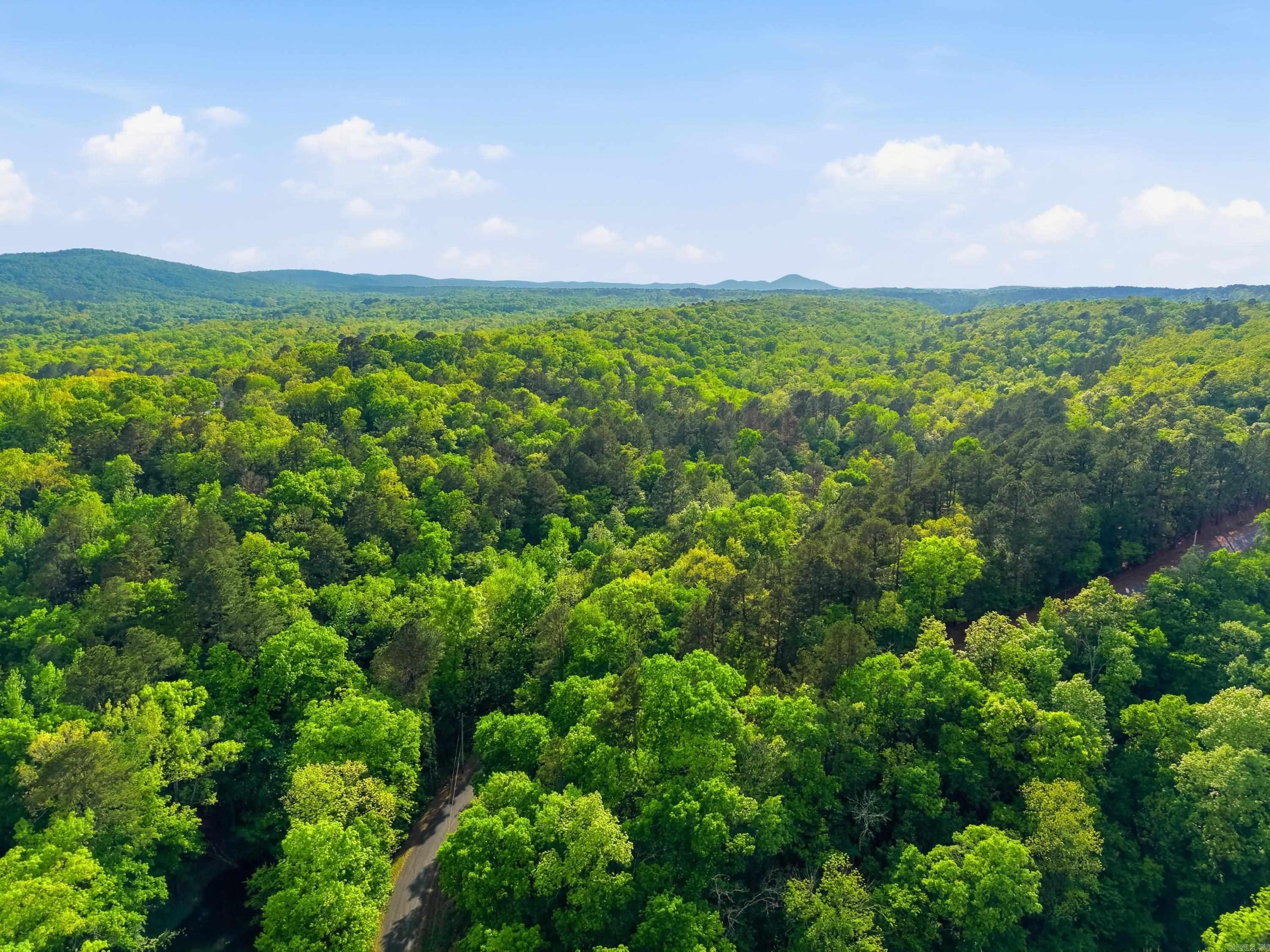 Lot 17 & 18 Tall Hickory Road  Hot Springs, AR
