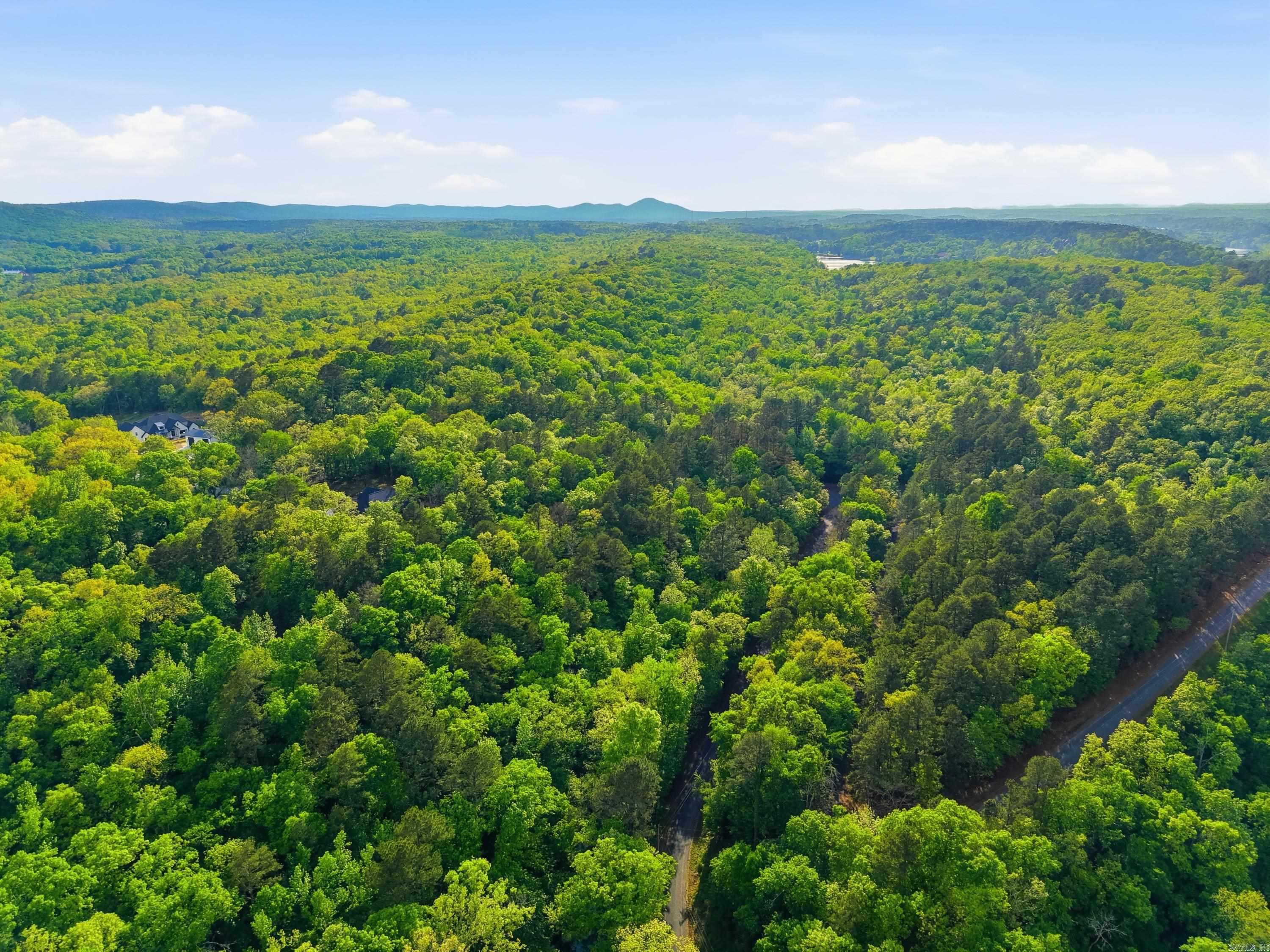 Lot 17 & 18 Tall Hickory Road  Hot Springs, AR