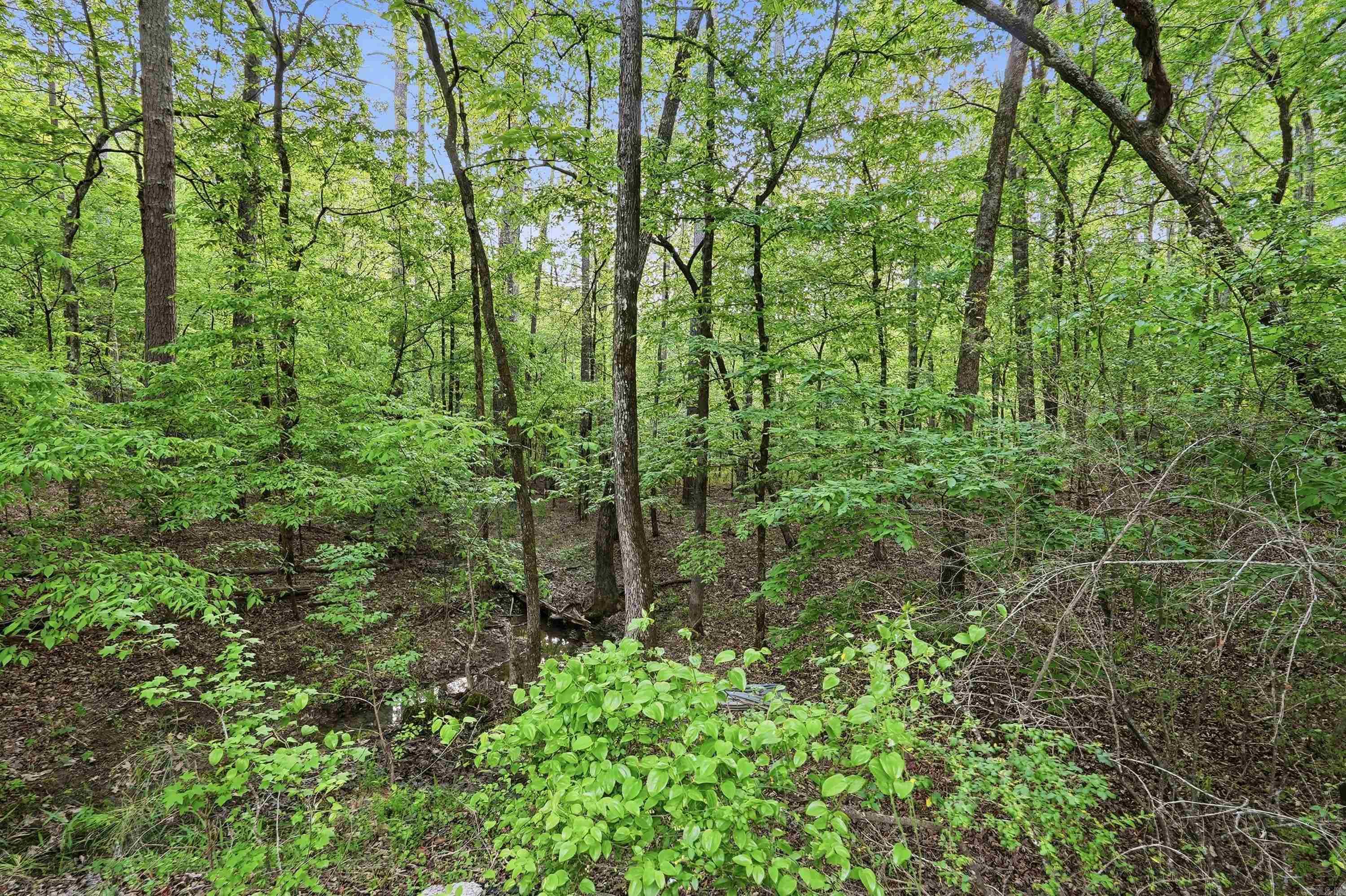 Lot 17 & 18 Tall Hickory Road  Hot Springs, AR