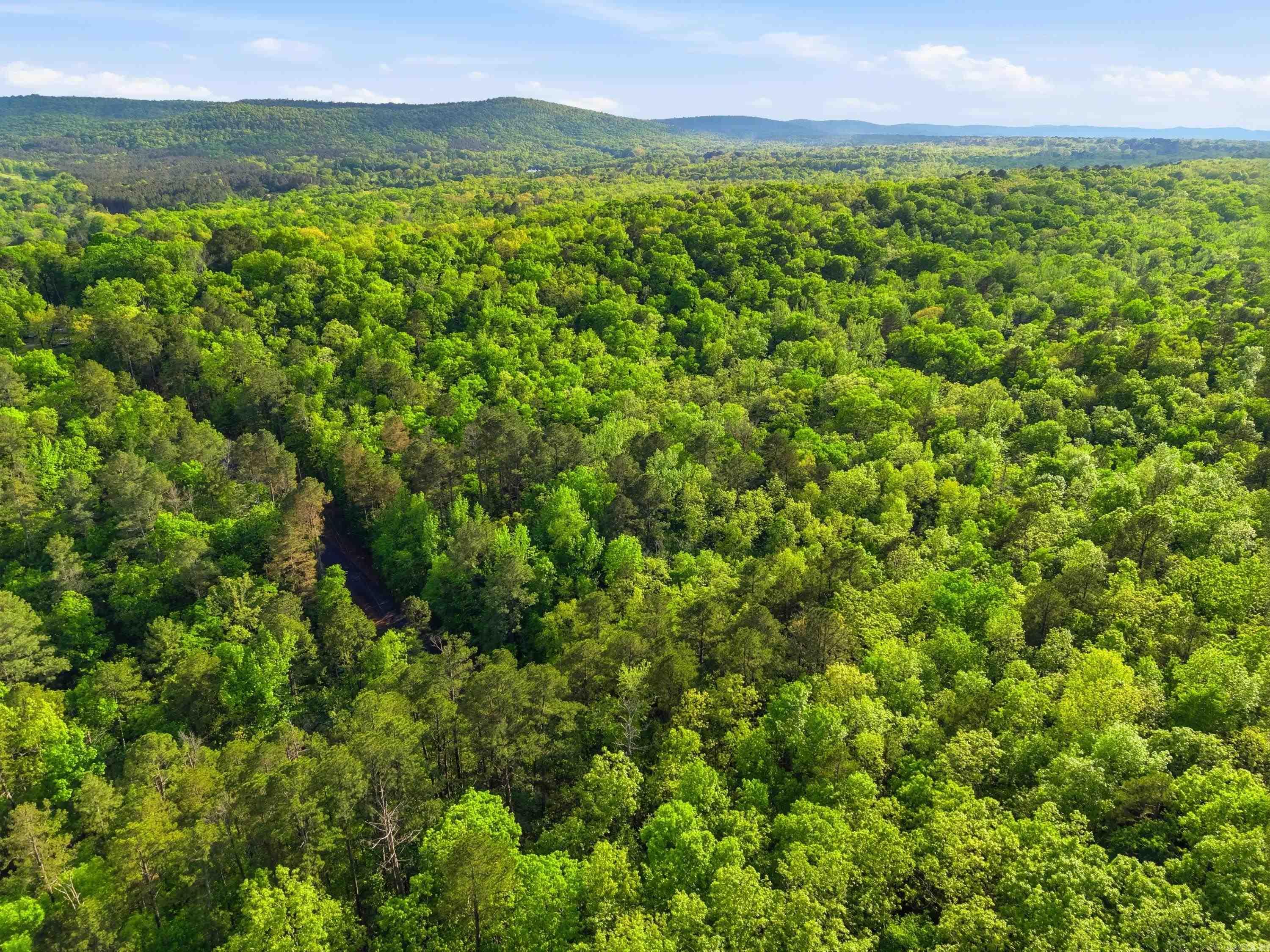 Lot 17 & 18 Tall Hickory Road  Hot Springs, AR