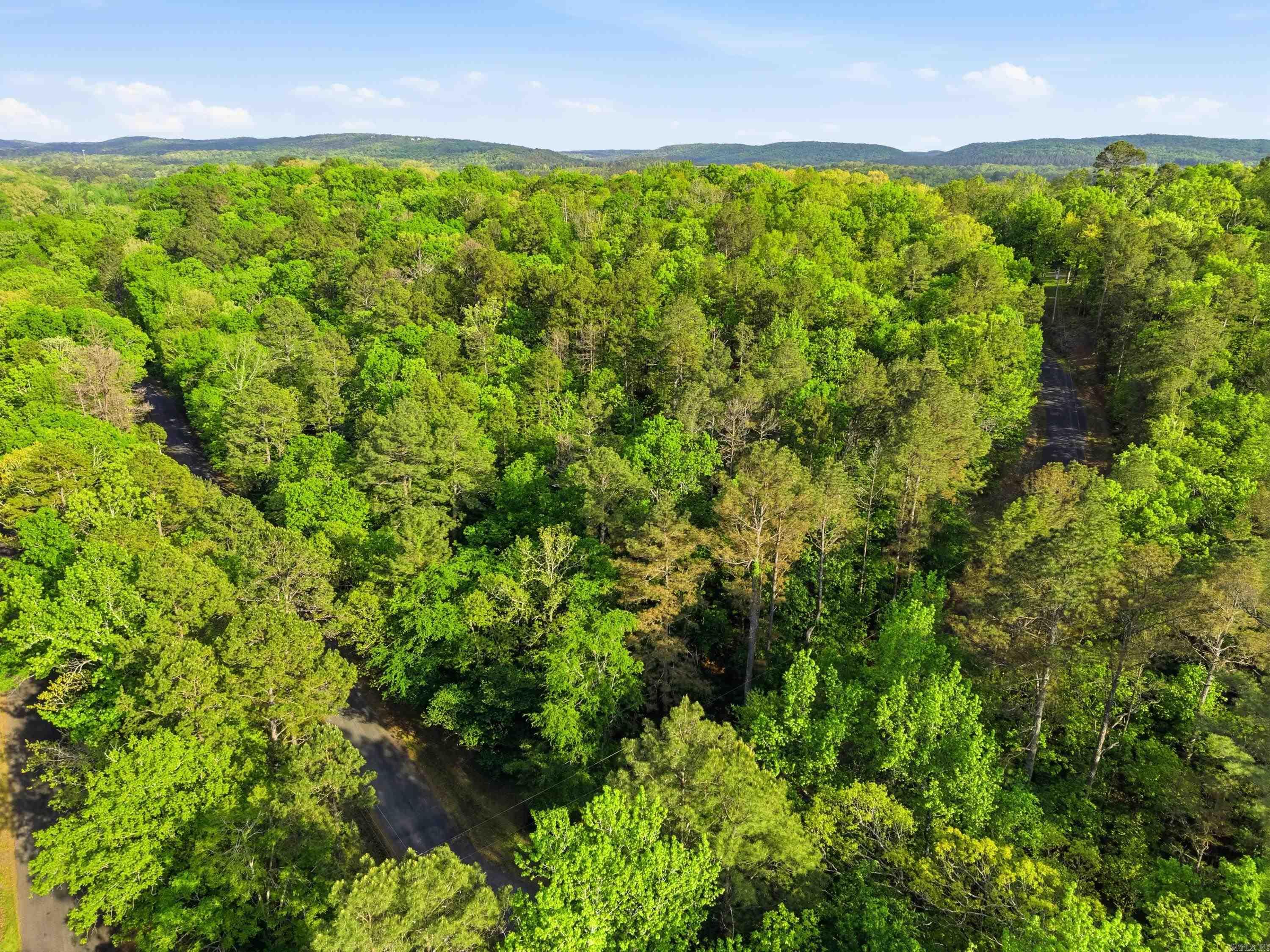 Lot 17 & 18 Tall Hickory Road  Hot Springs, AR