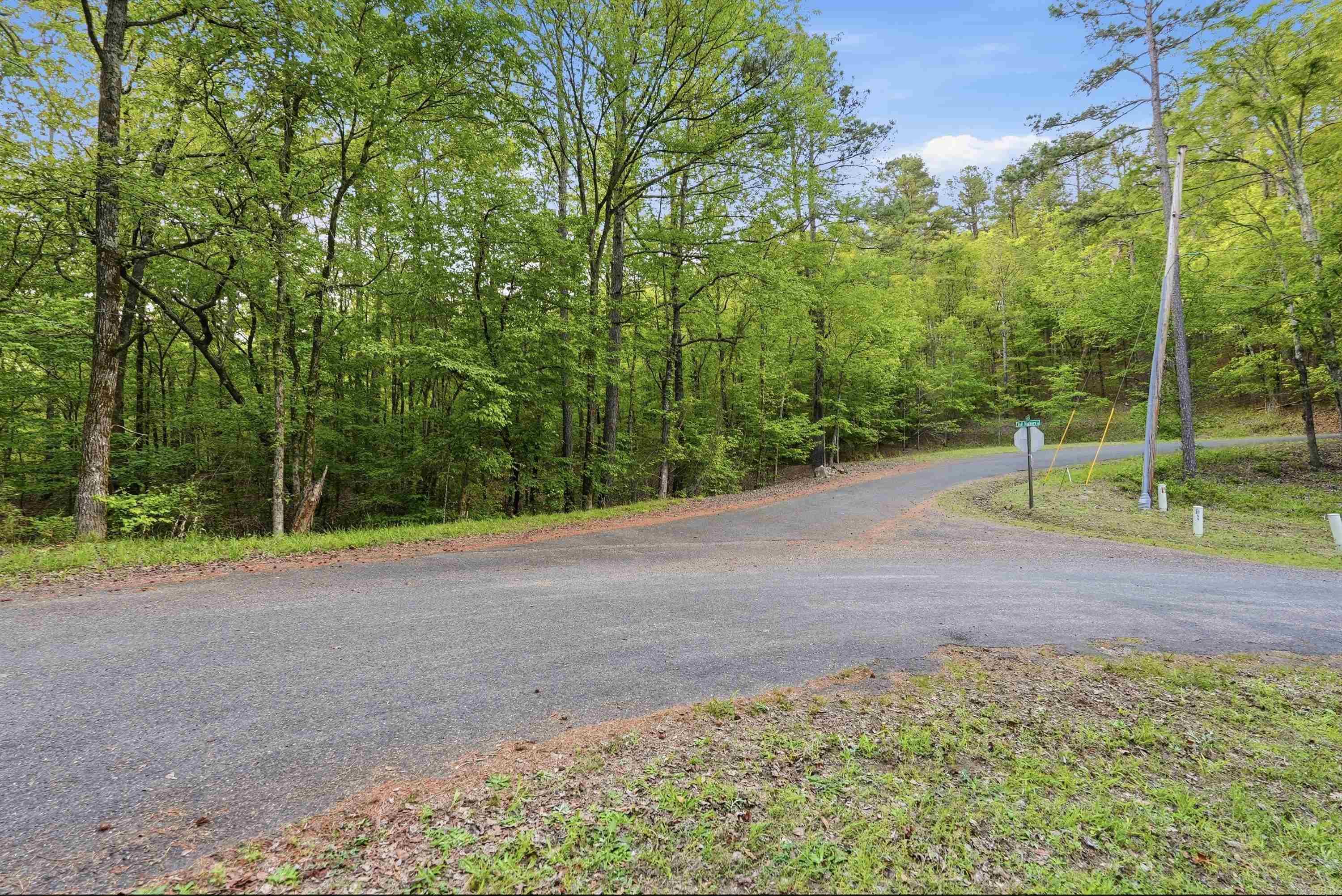 Lot 17 & 18 Tall Hickory Road  Hot Springs, AR