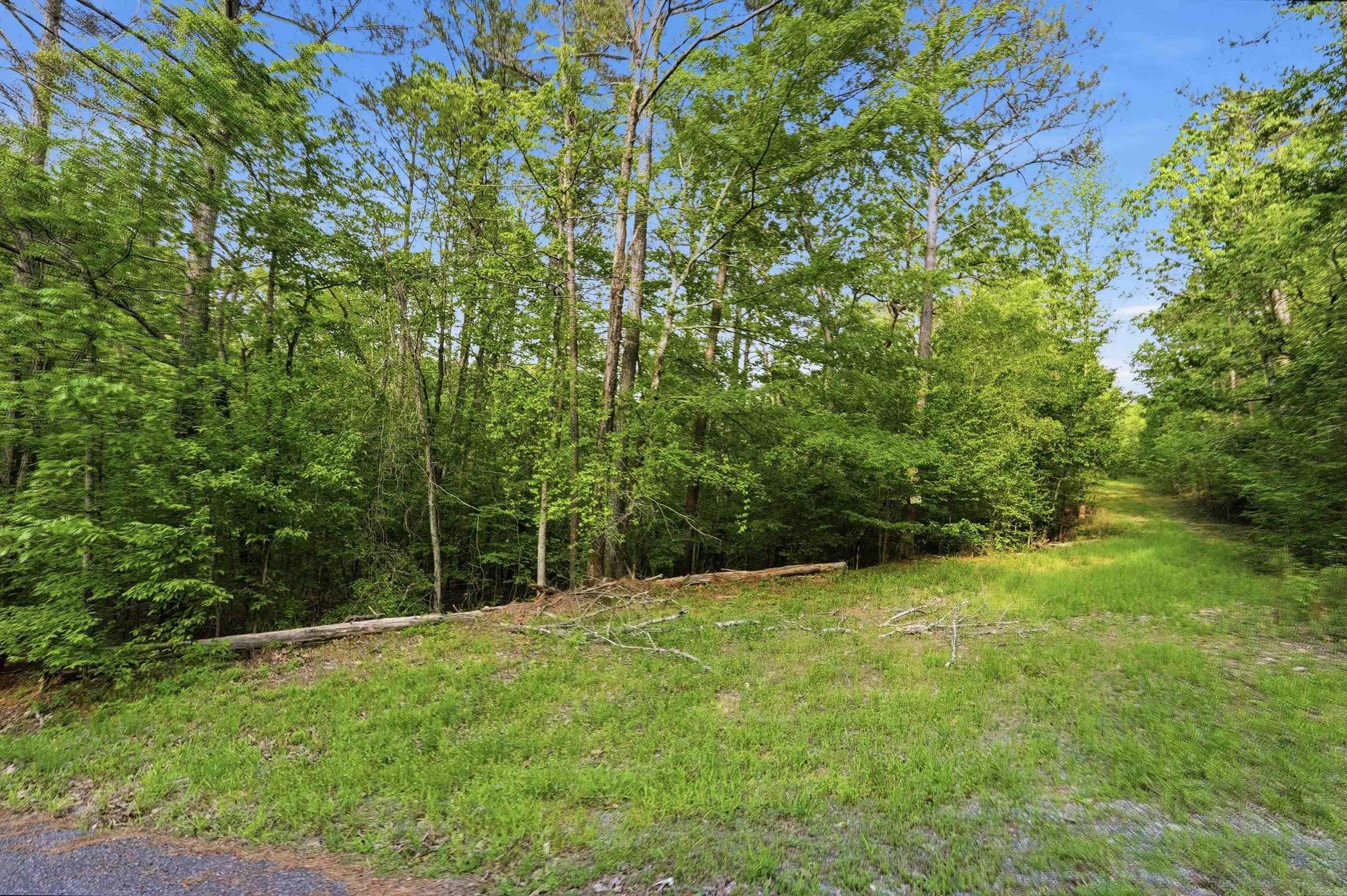 Lot 17 & 18 Tall Hickory Road  Hot Springs, AR