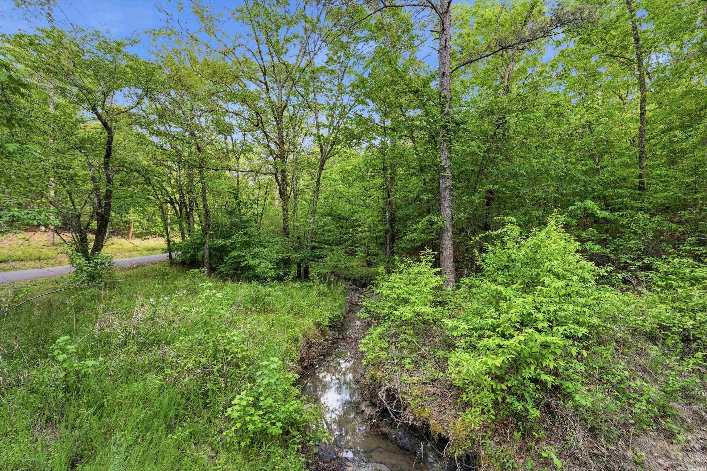 Lot 17 & 18 Tall Hickory Road  Hot Springs, AR