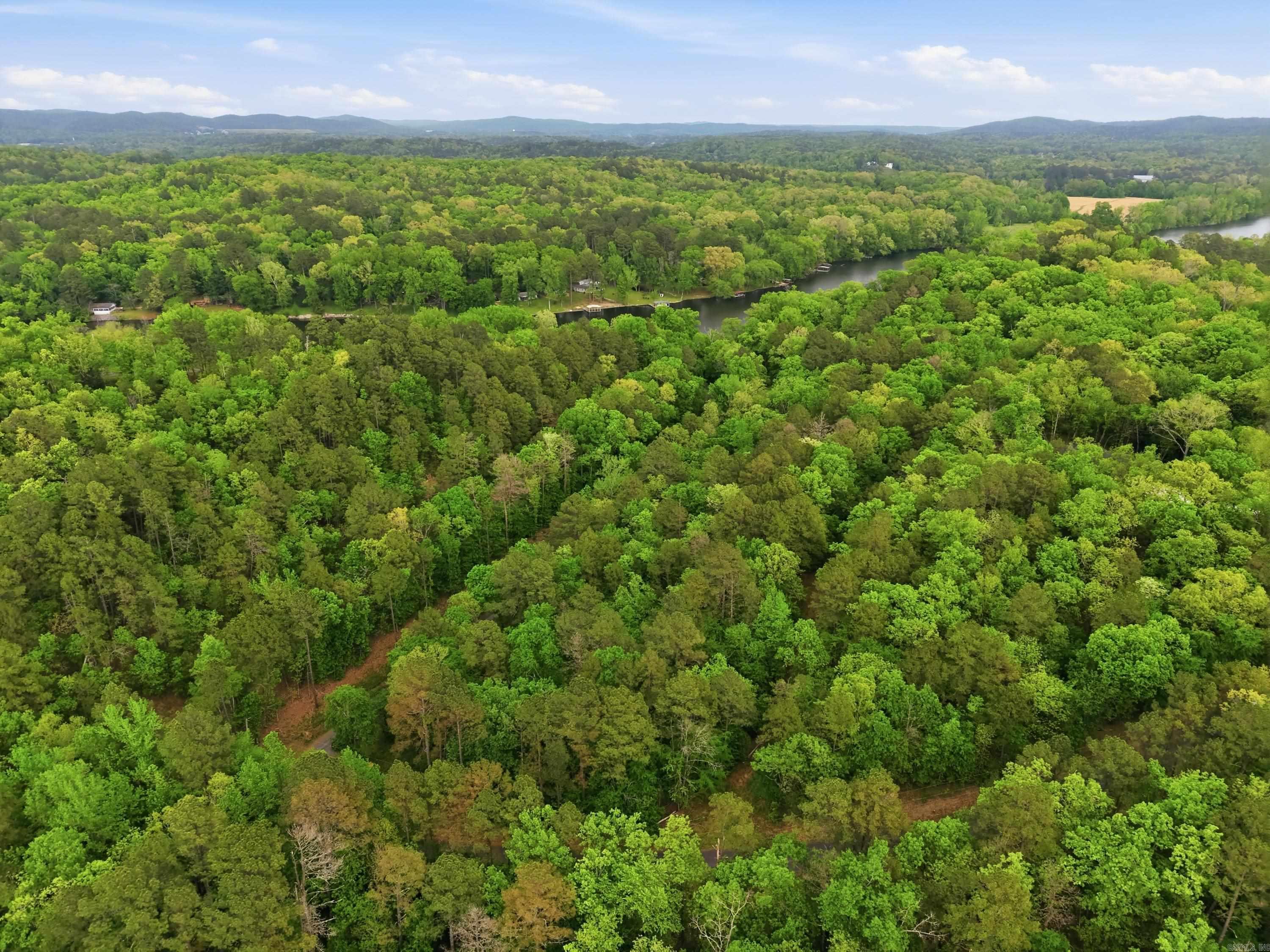 Lot 17 & 18 Tall Hickory Road  Hot Springs, AR