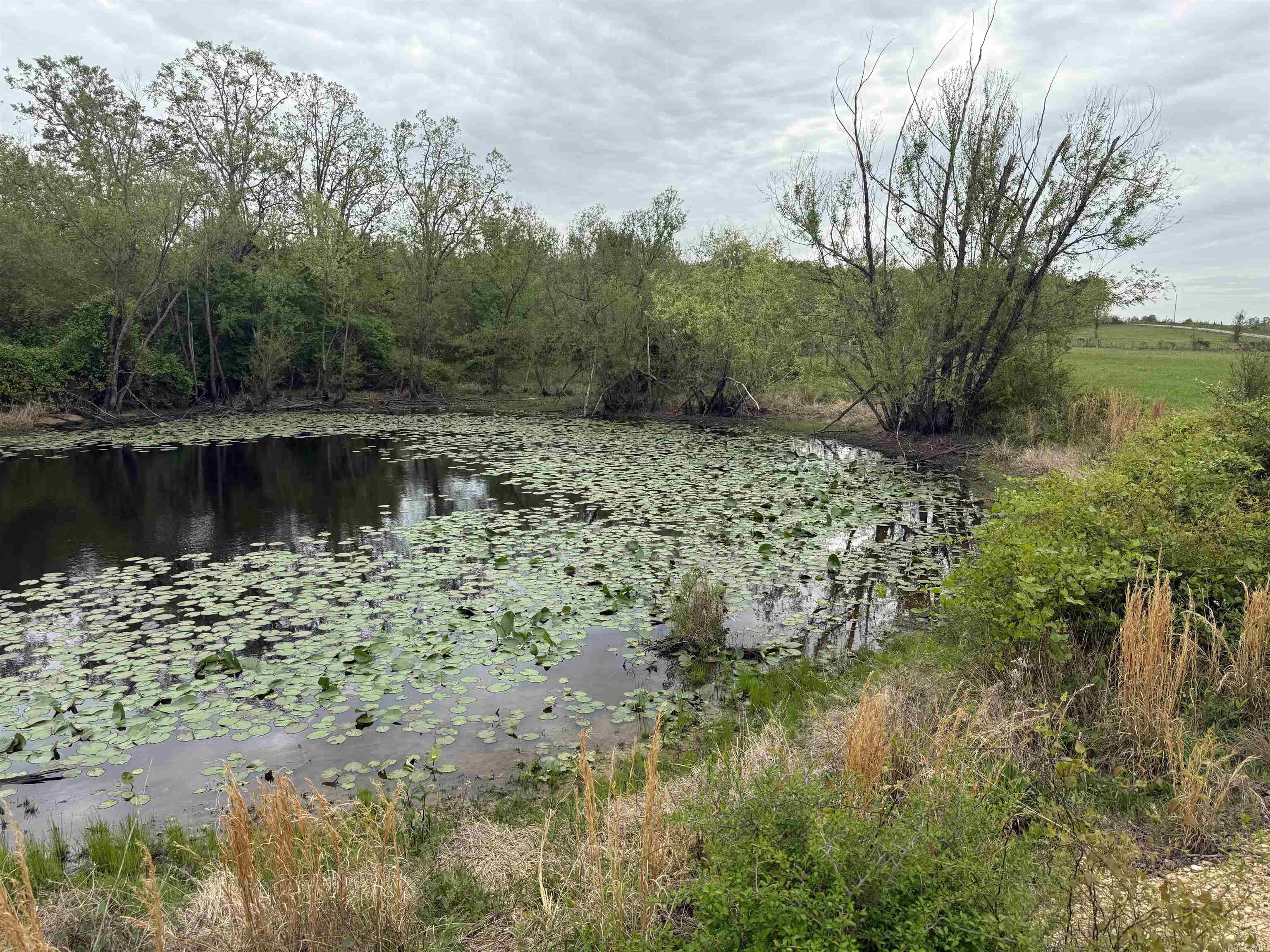 115 Bliss  Judsonia, AR