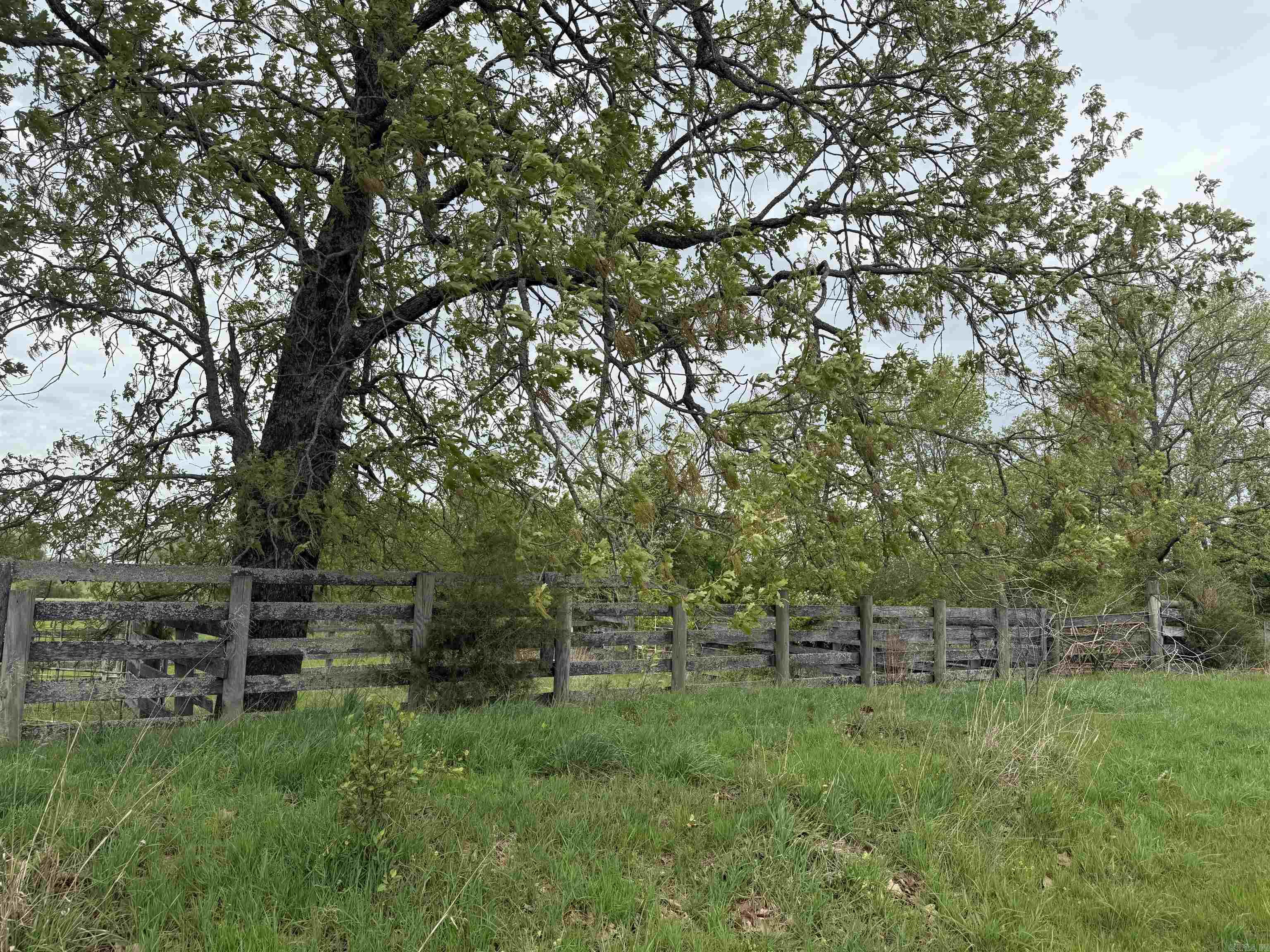 115 Bliss  Judsonia, AR