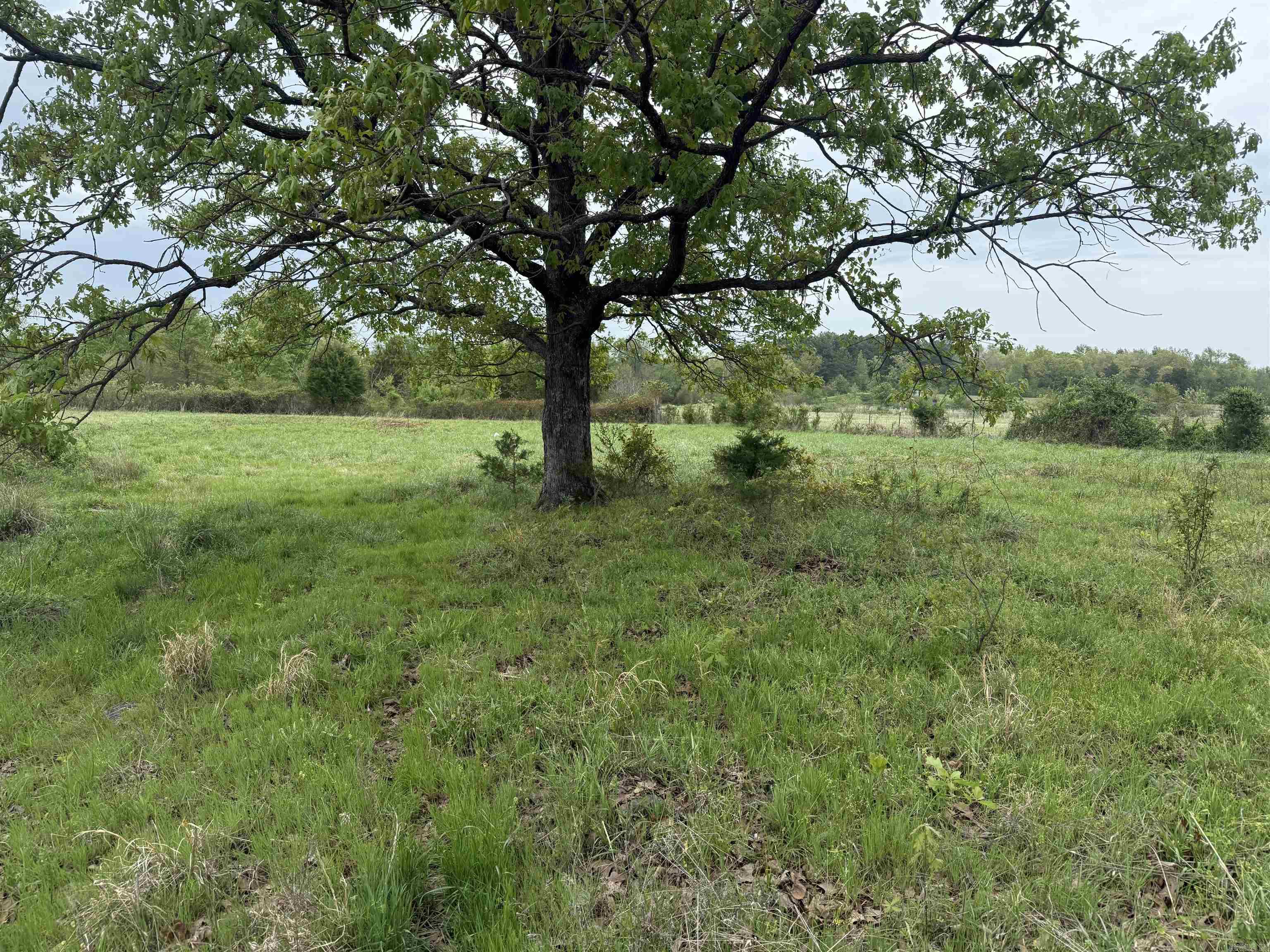 115 Bliss  Judsonia, AR