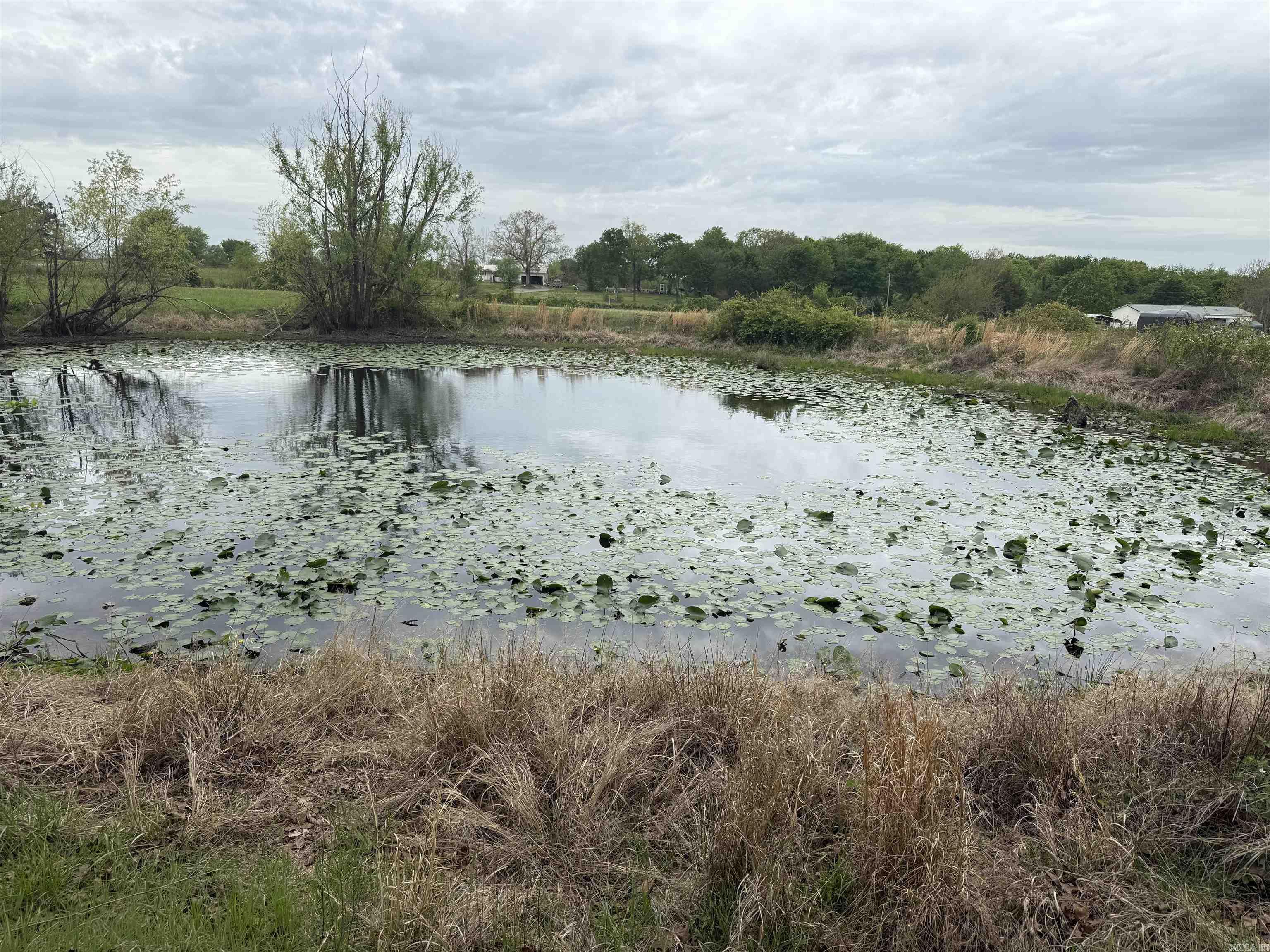 115 Bliss  Judsonia, AR