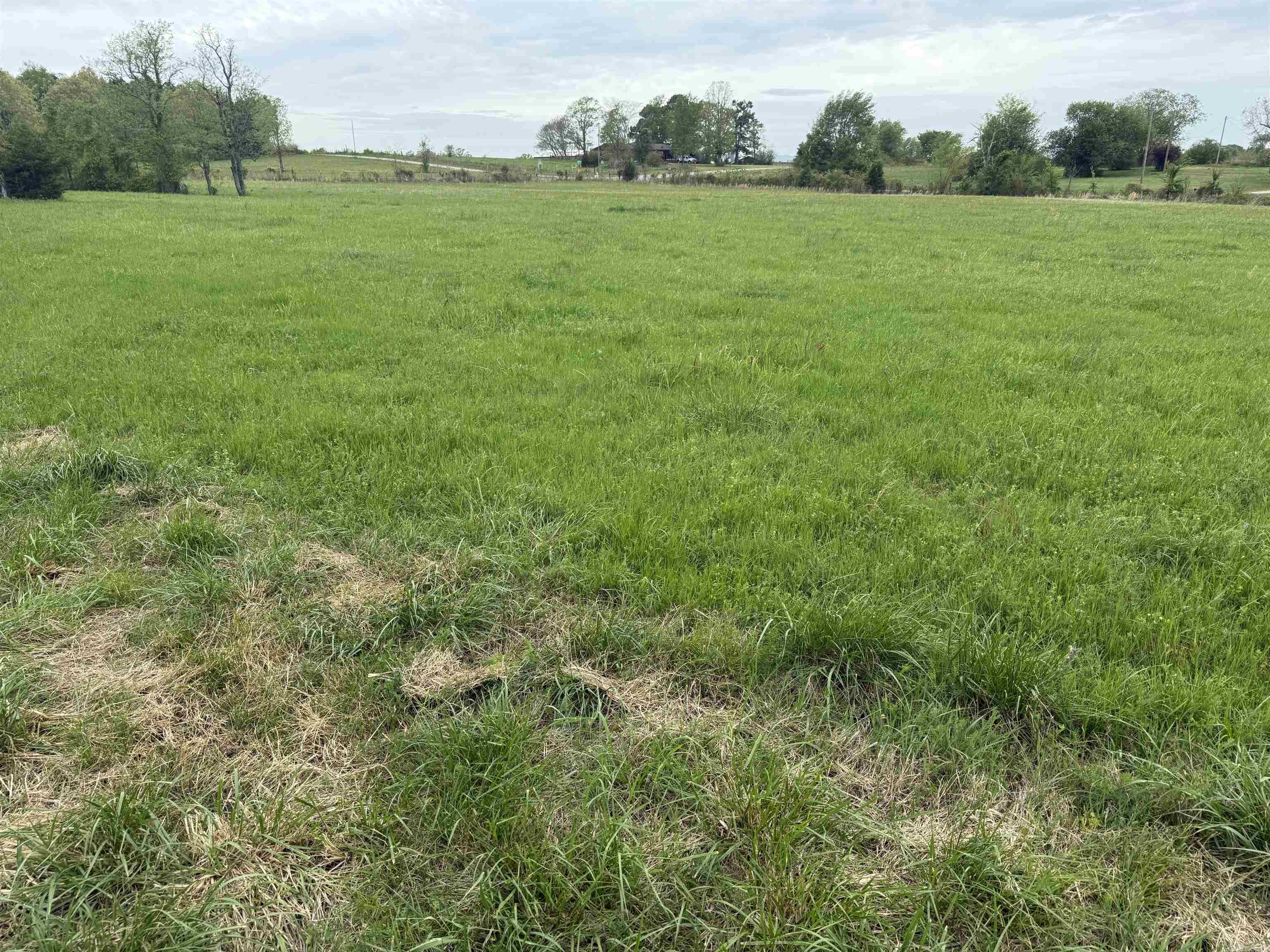 115 Bliss  Judsonia, AR