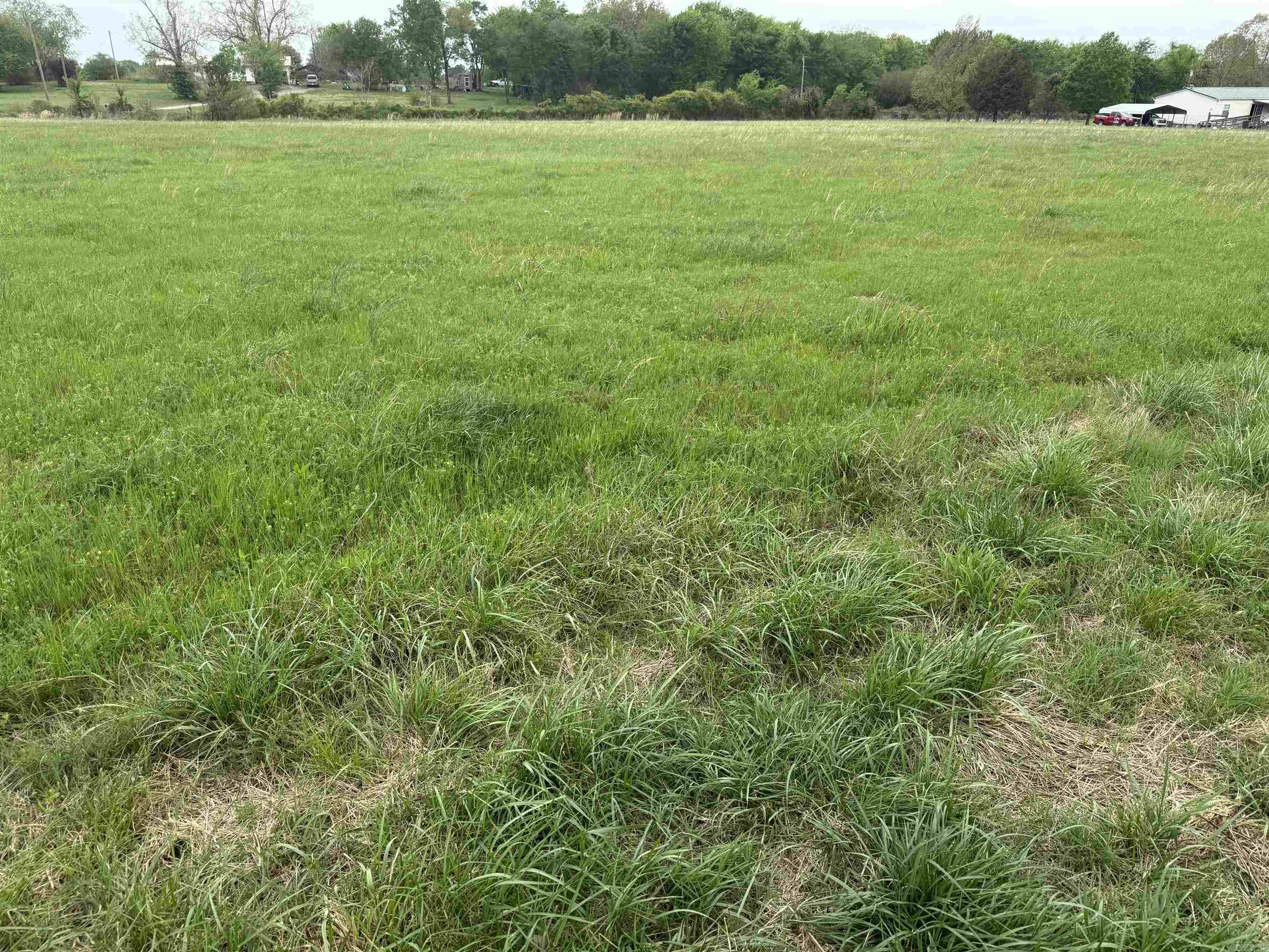 115 Bliss  Judsonia, AR