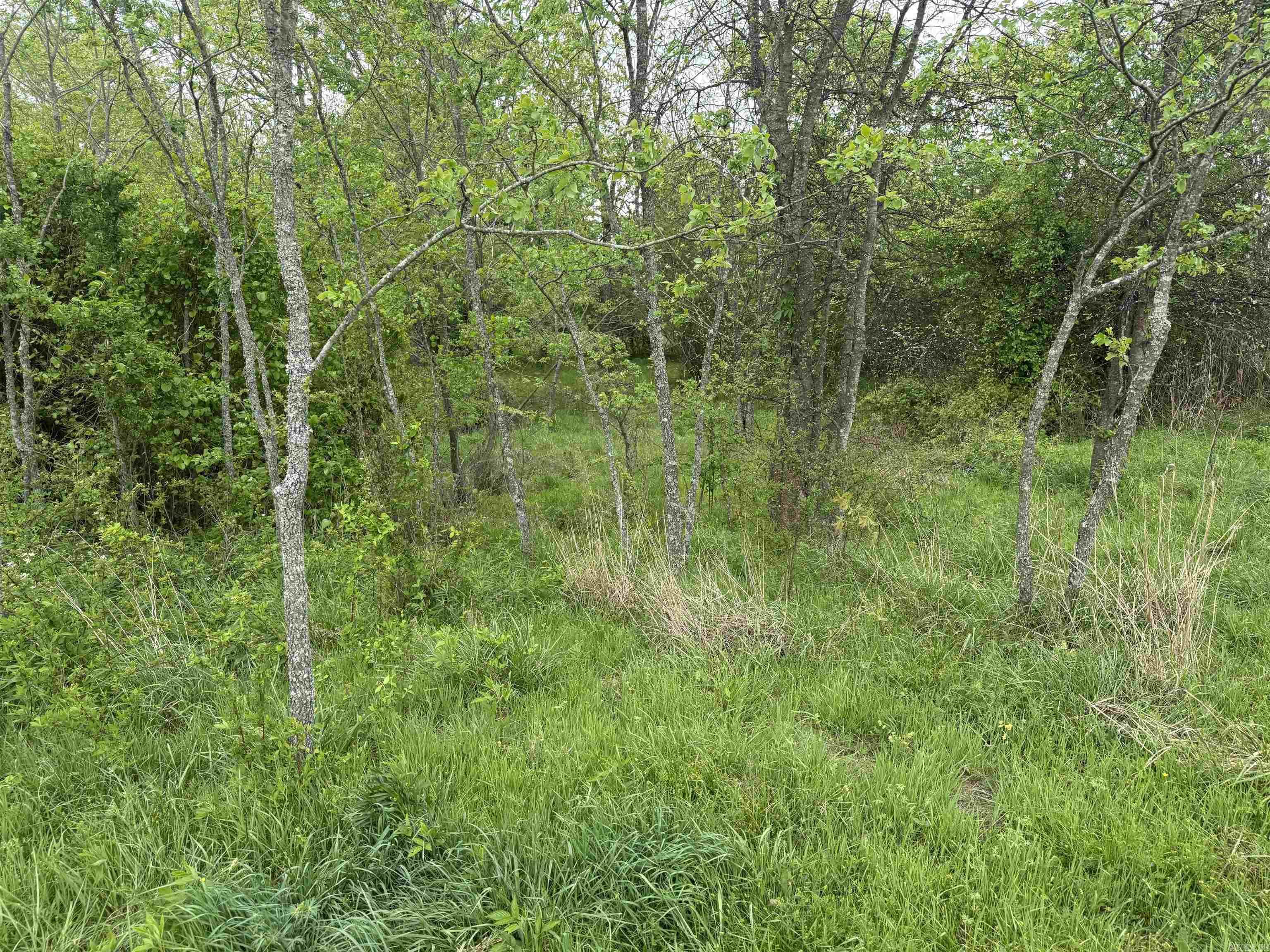 115 Bliss  Judsonia, AR