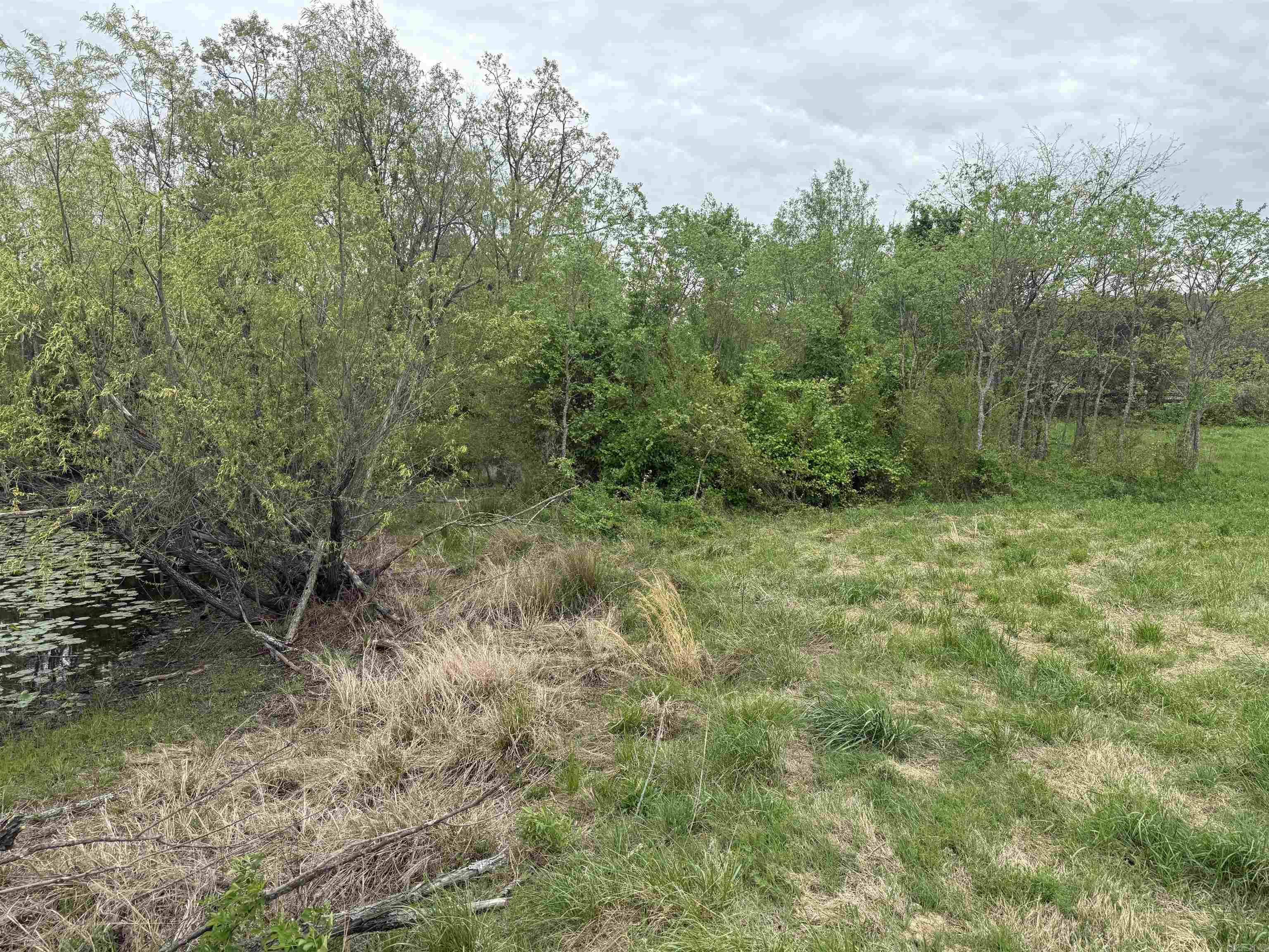 115 Bliss  Judsonia, AR