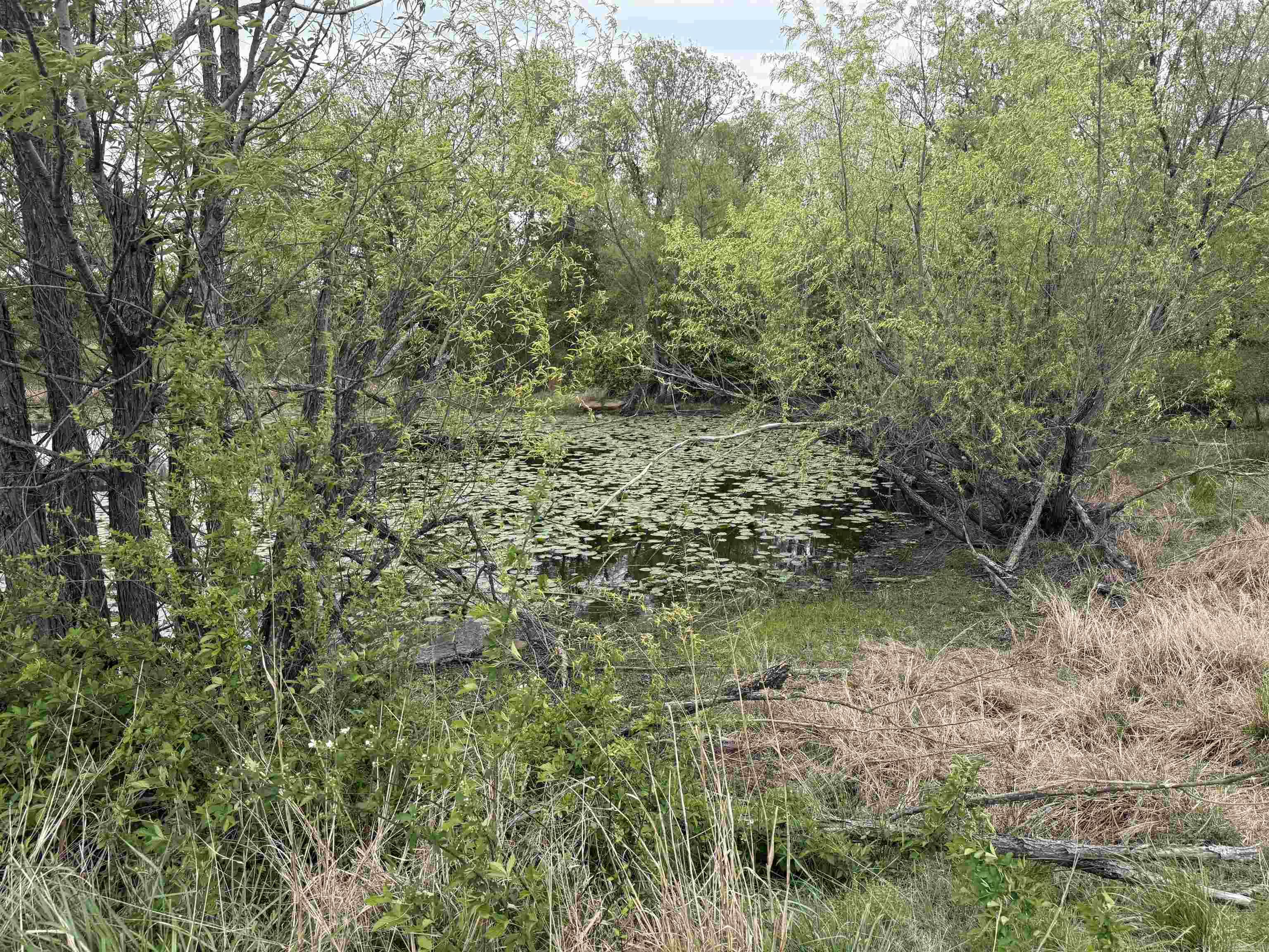 115 Bliss  Judsonia, AR