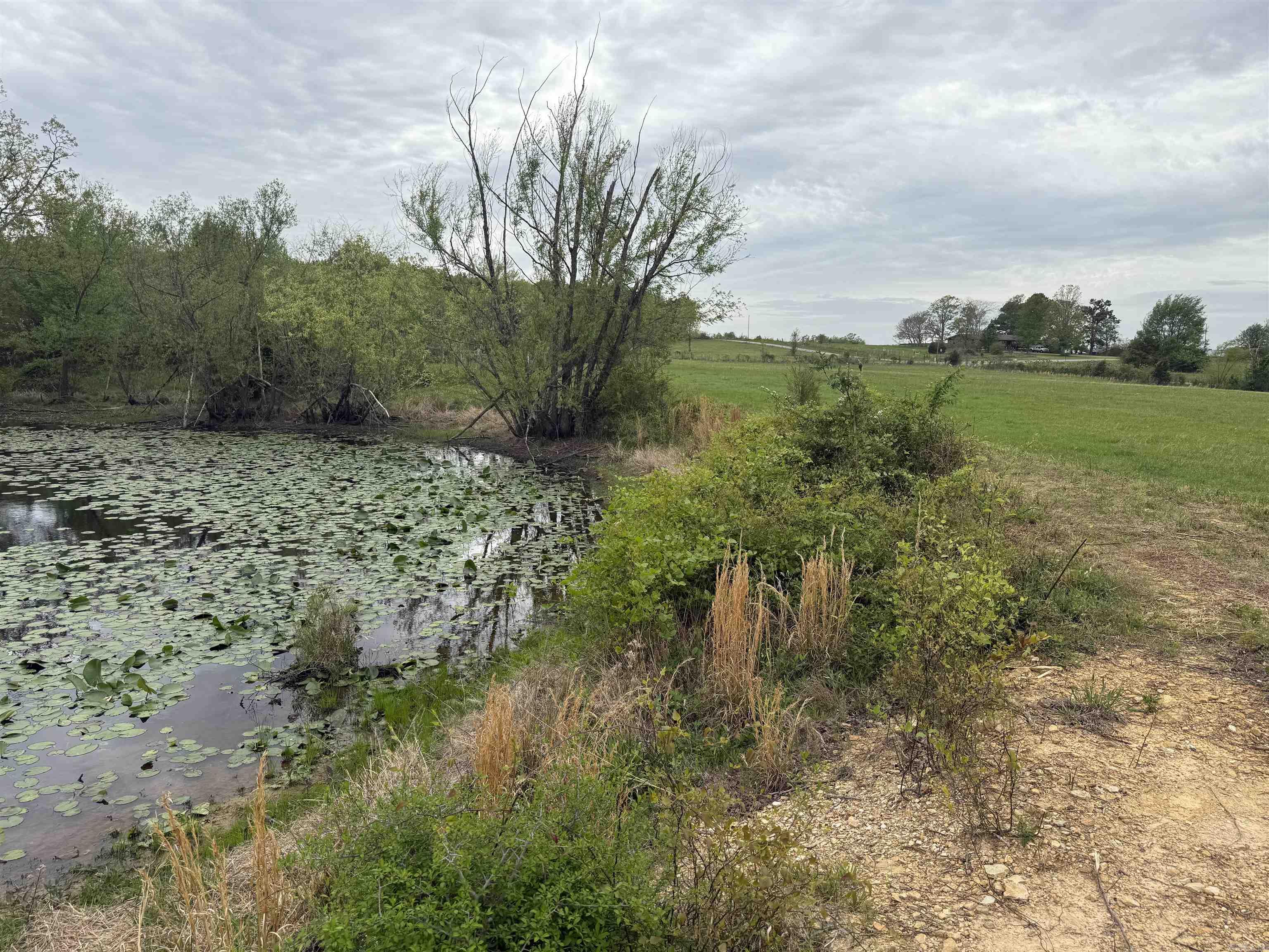 115 Bliss  Judsonia, AR