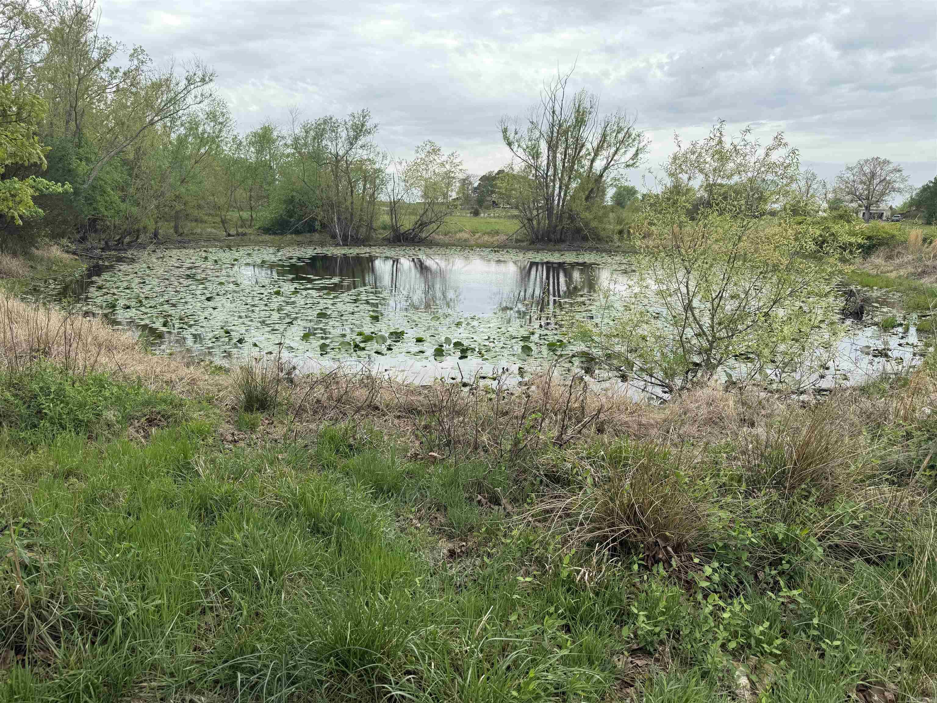 115 Bliss  Judsonia, AR