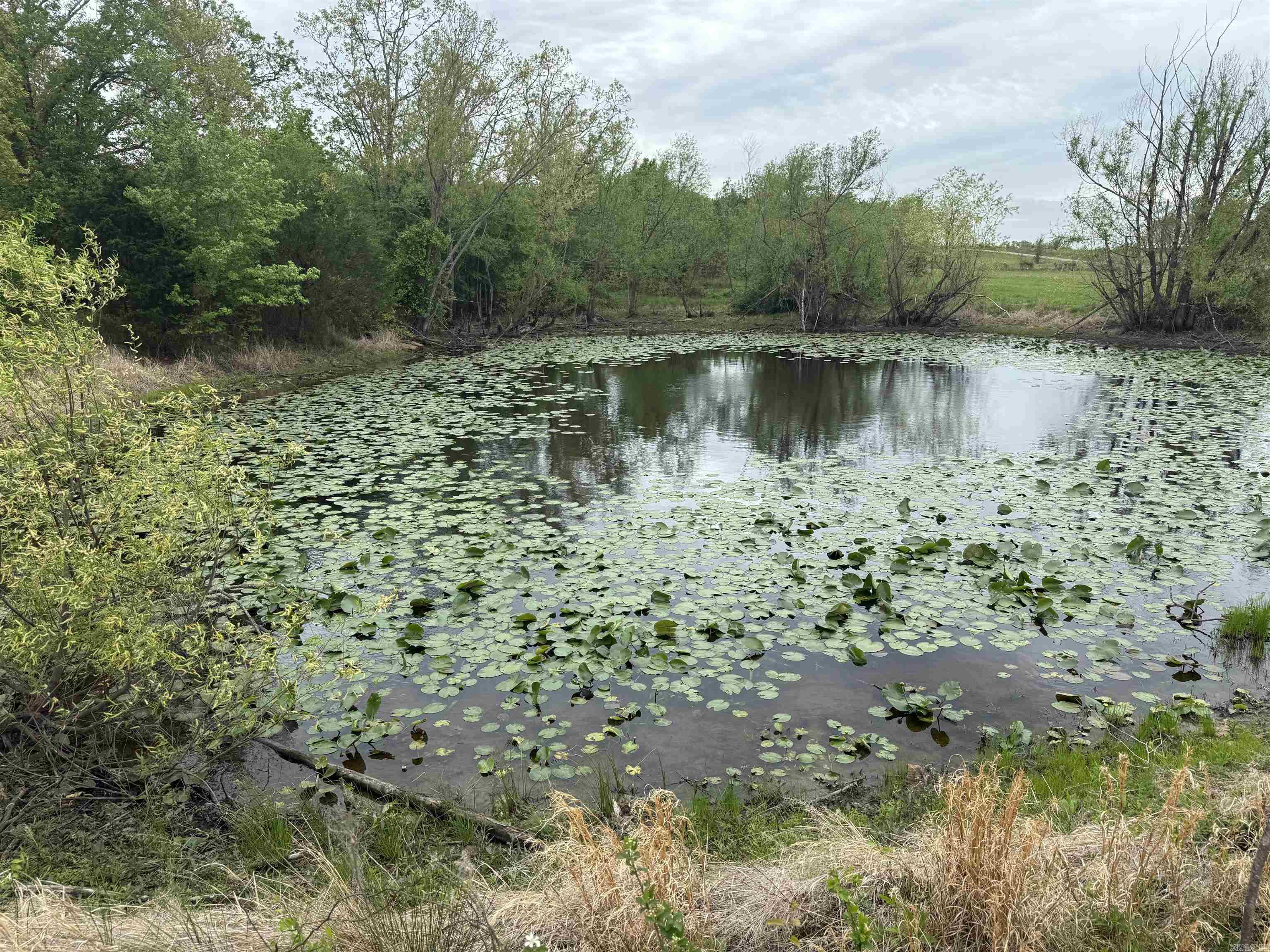 115 Bliss  Judsonia, AR