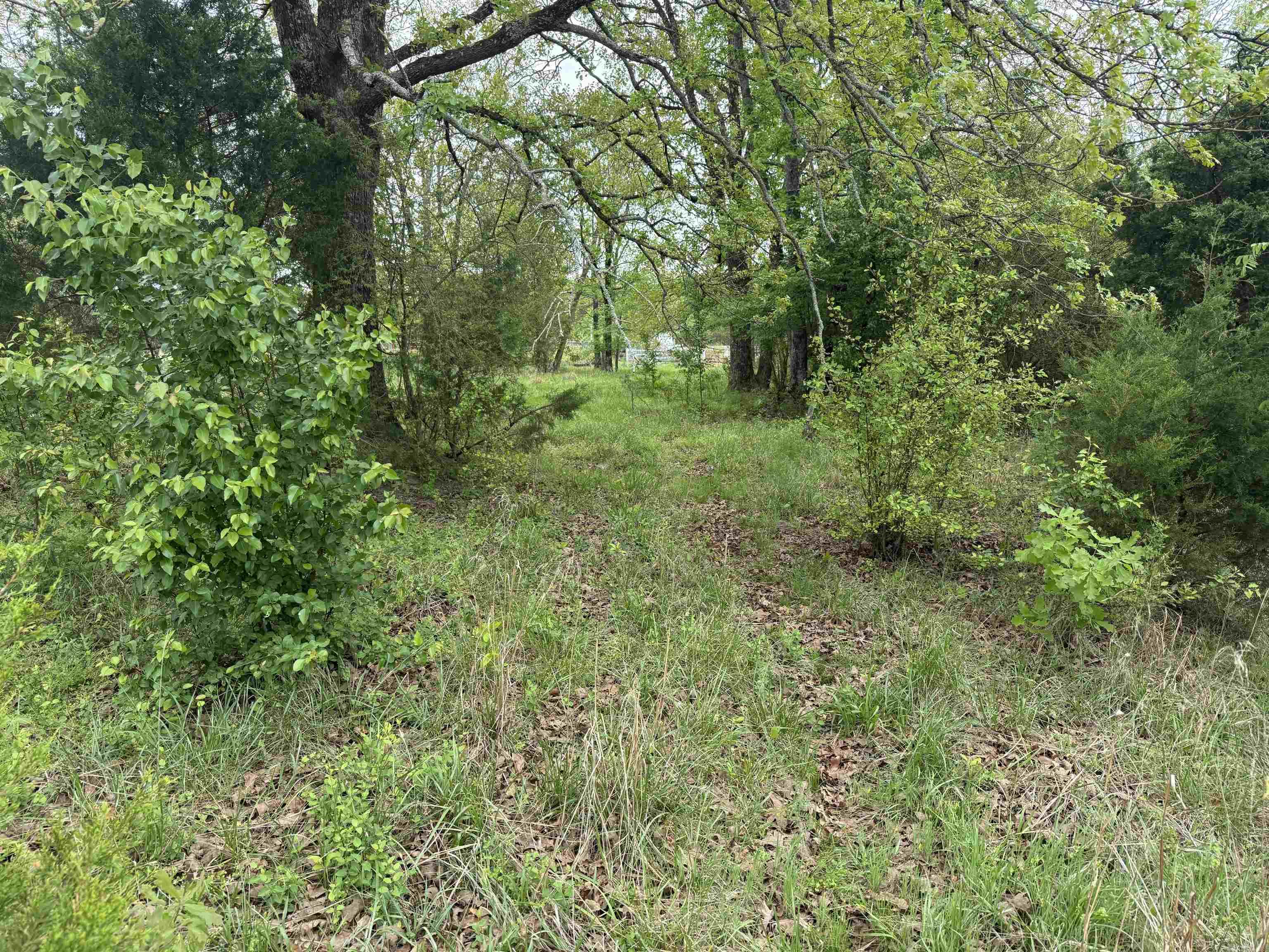 115 Bliss  Judsonia, AR