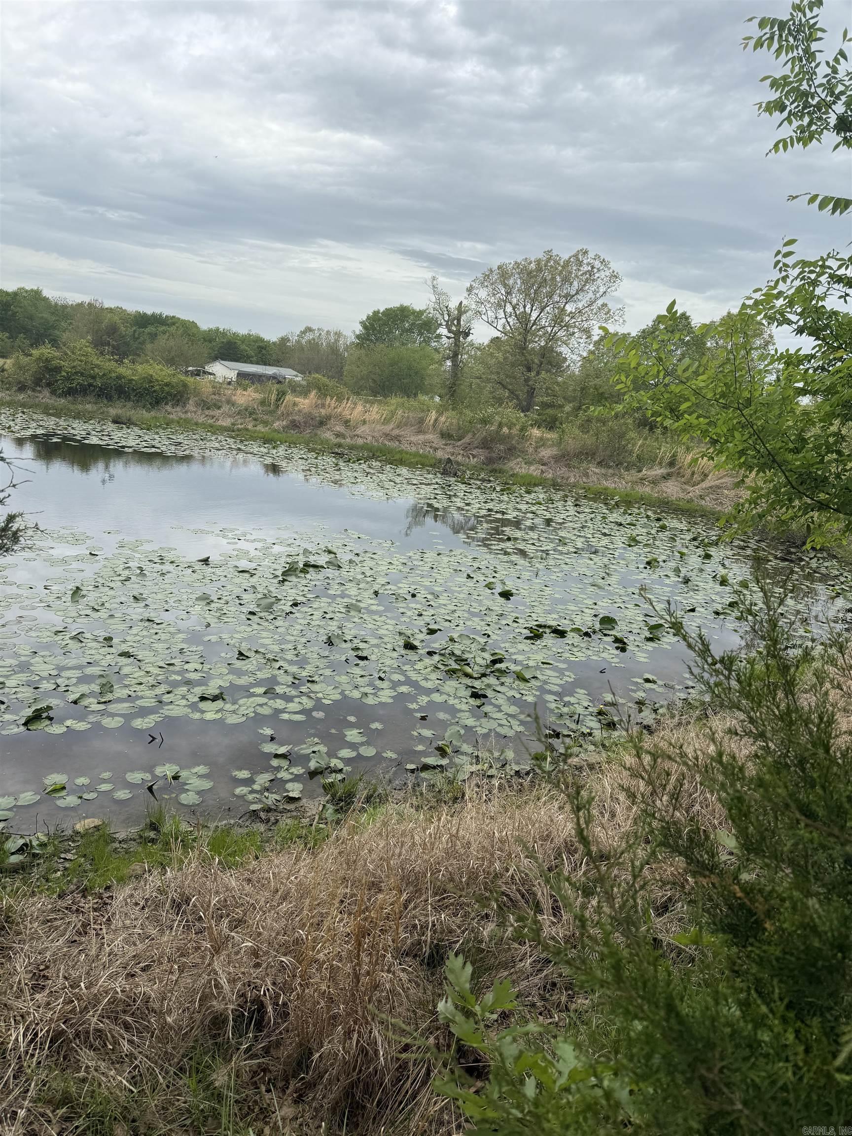 115 Bliss  Judsonia, AR