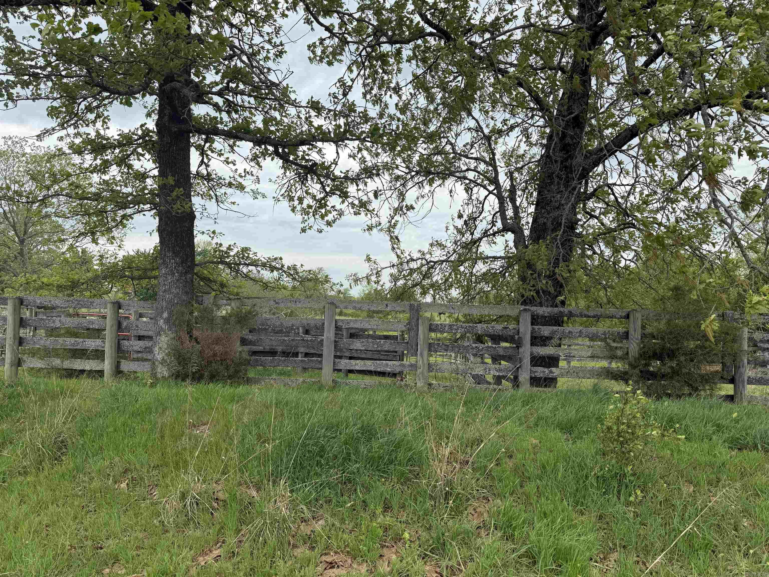 115 Bliss  Judsonia, AR