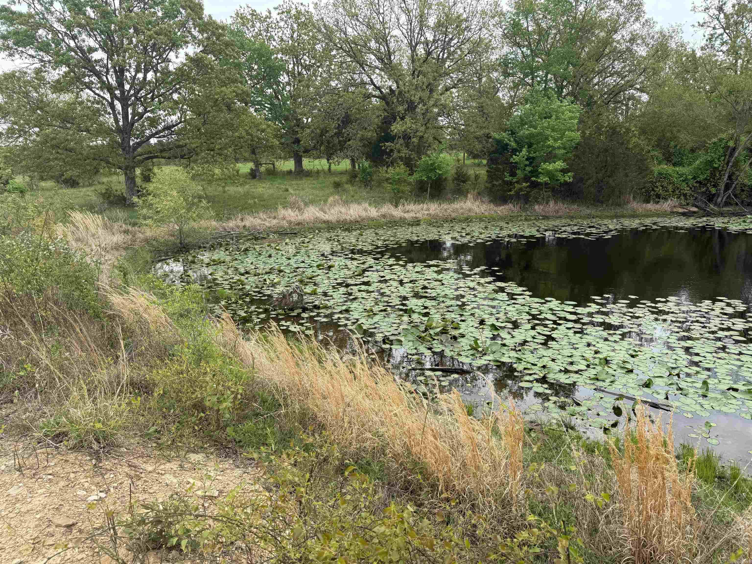 115 Bliss  Judsonia, AR