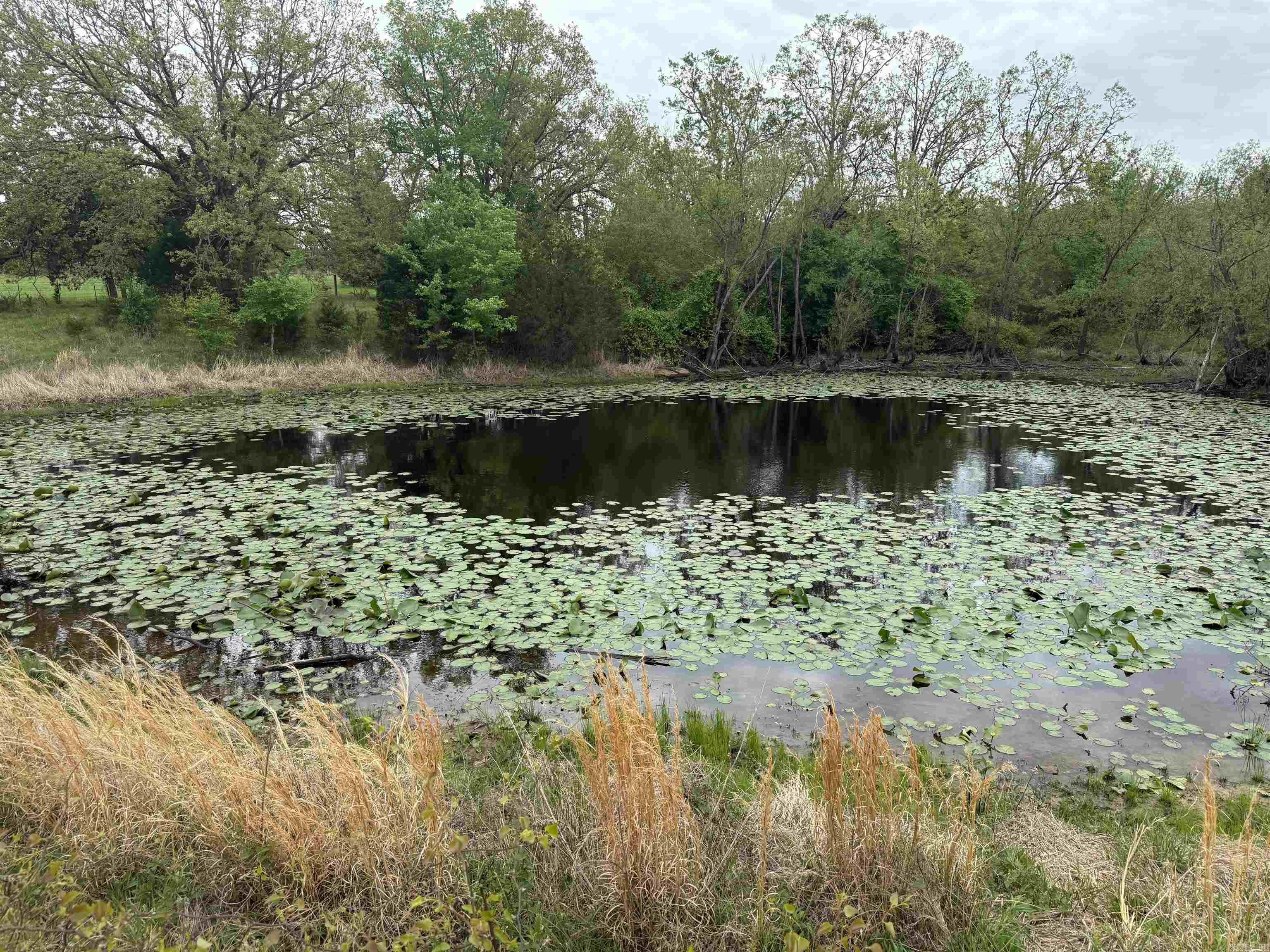 115 Bliss  Judsonia, AR