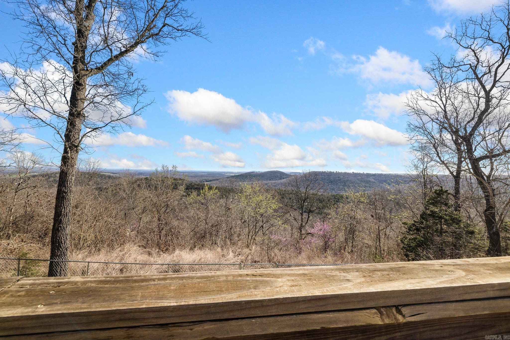 10974 Ricks Drive Harrison, AR 72601