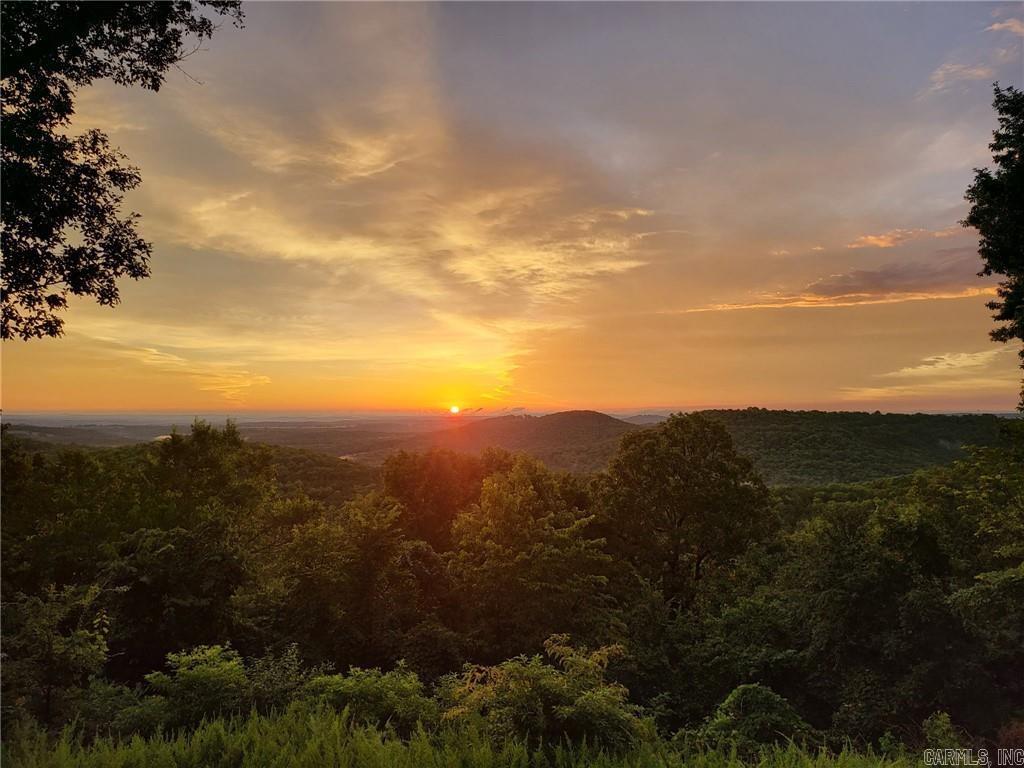 10974 Ricks Drive Harrison, AR 72601
